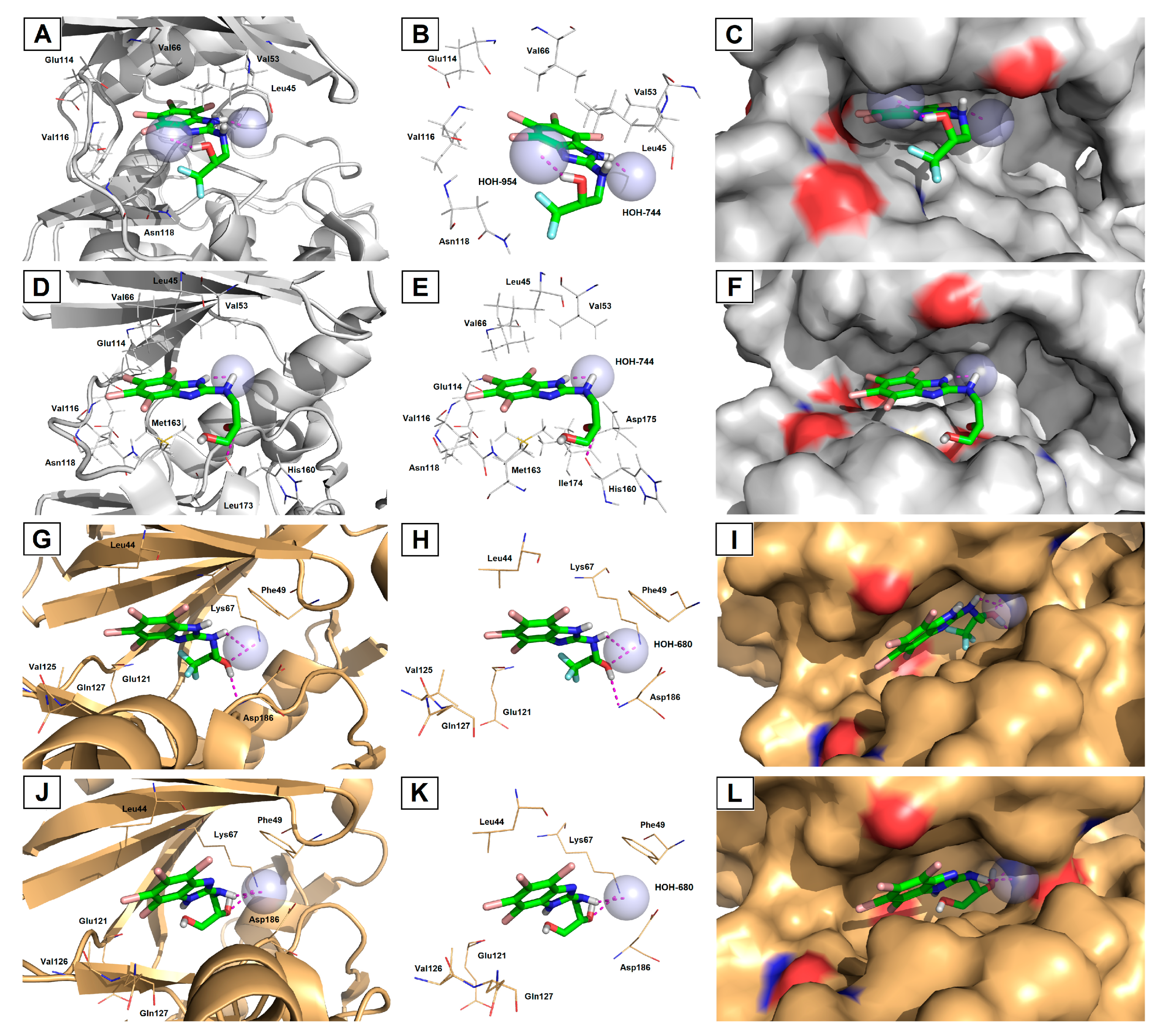 Pharmaceutics 15 01991 g009