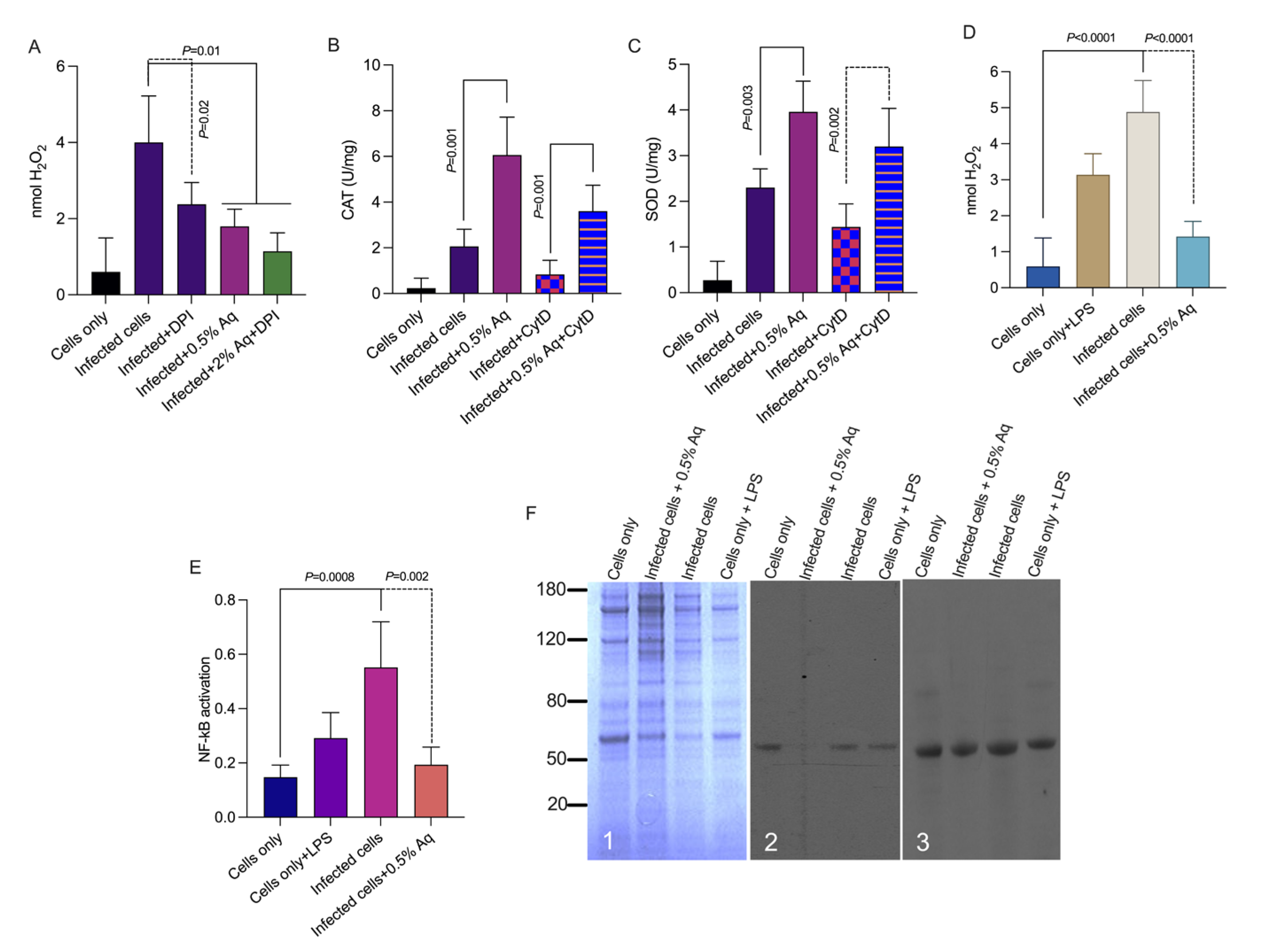 Pharmaceutics 15 01994 g003 Pharmaceutics 15 01994 g003