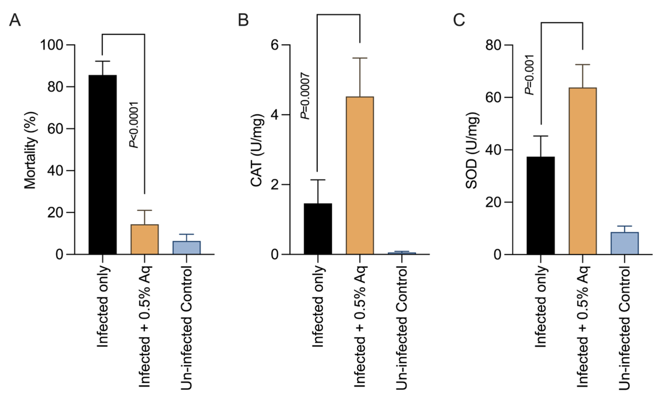 Pharmaceutics 15 01994 g004 Pharmaceutics 15 01994 g004