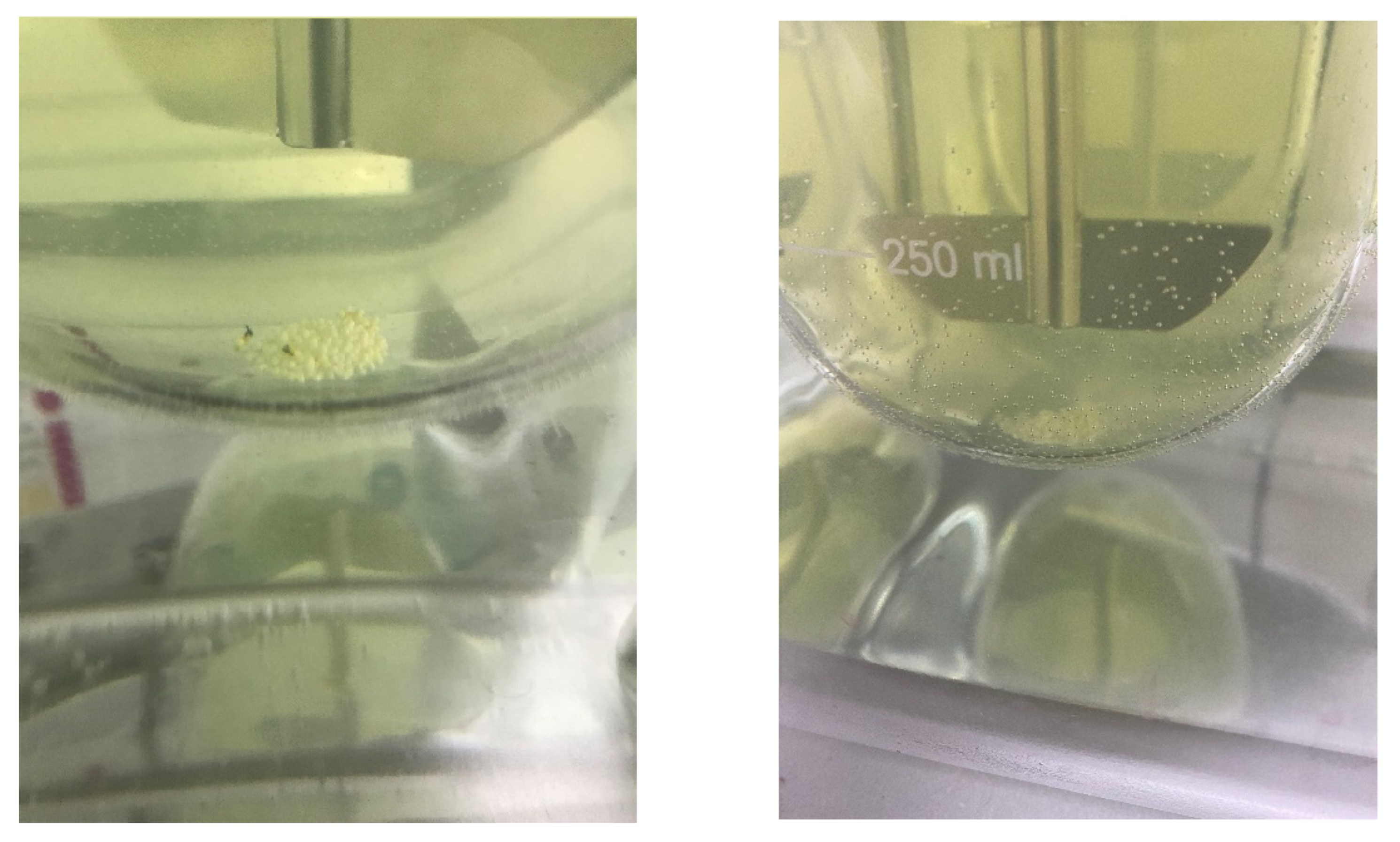 Pharmaceutics 15 01996 g011 Pharmaceutics 15 01996 g011