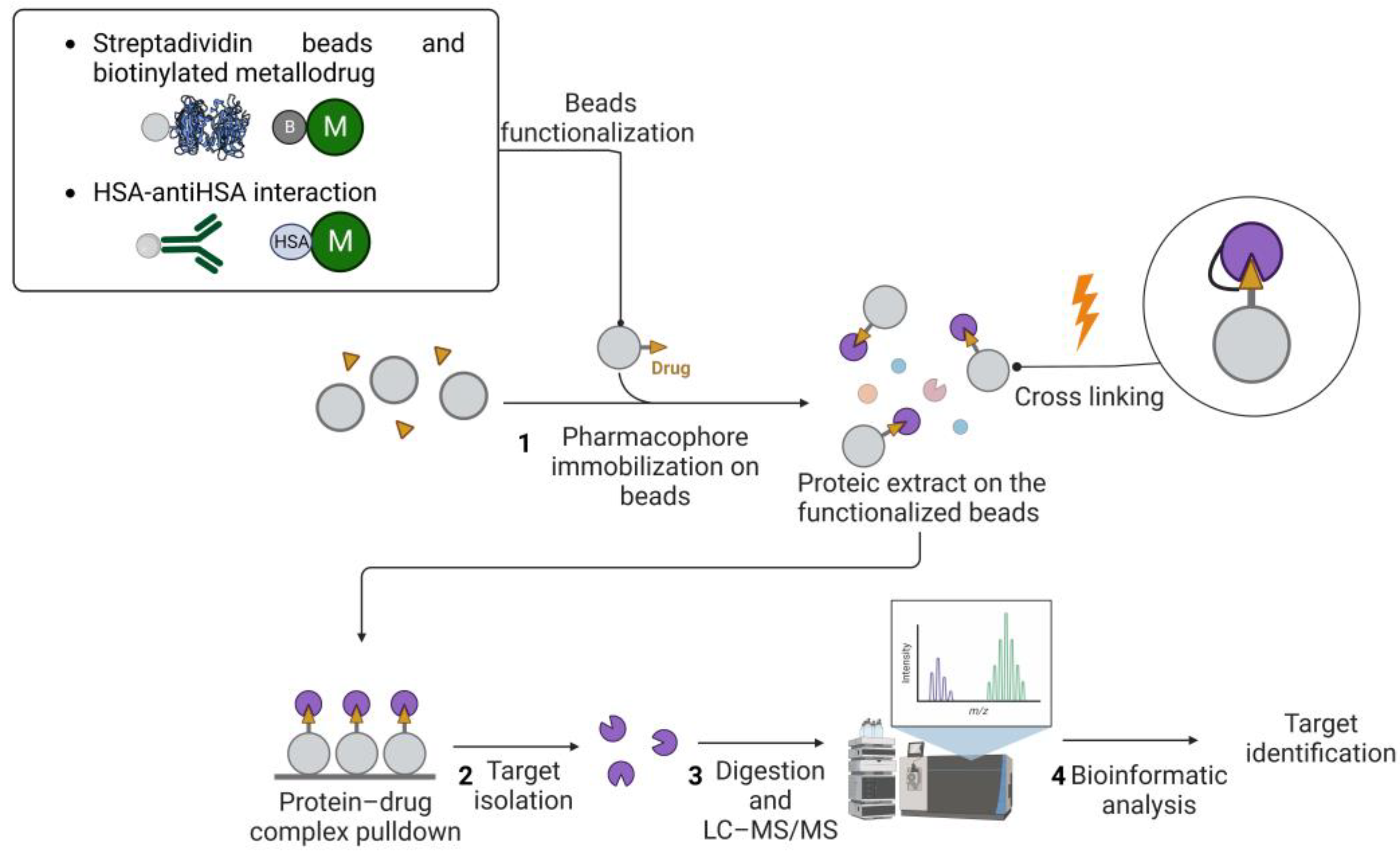 Pharmaceutics 15 01997 g001 Pharmaceutics 15 01997 g001