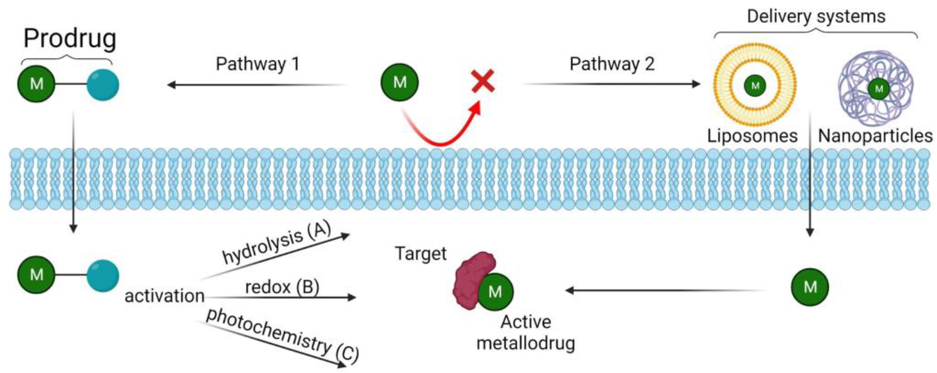Pharmaceutics 15 01997 g004 Pharmaceutics 15 01997 g004