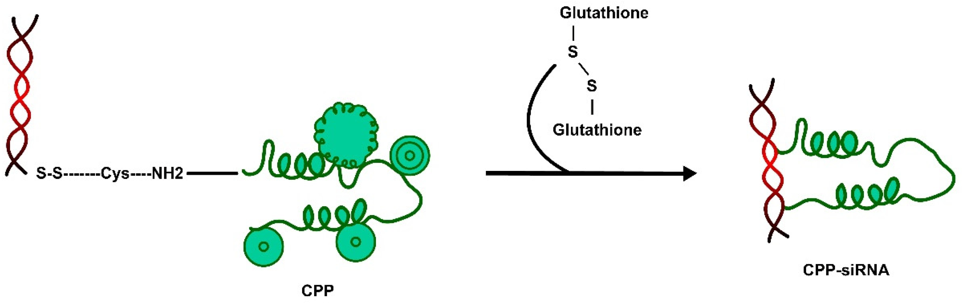 Pharmaceutics 15 01999 g007