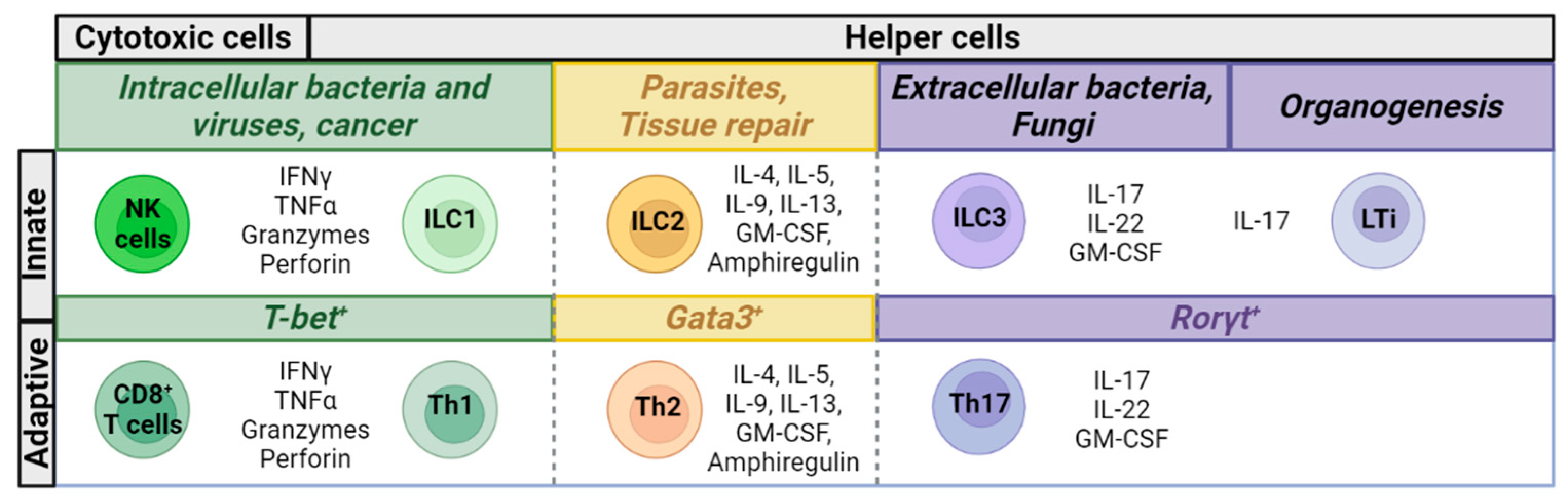 Pharmaceutics 15 02001 g001