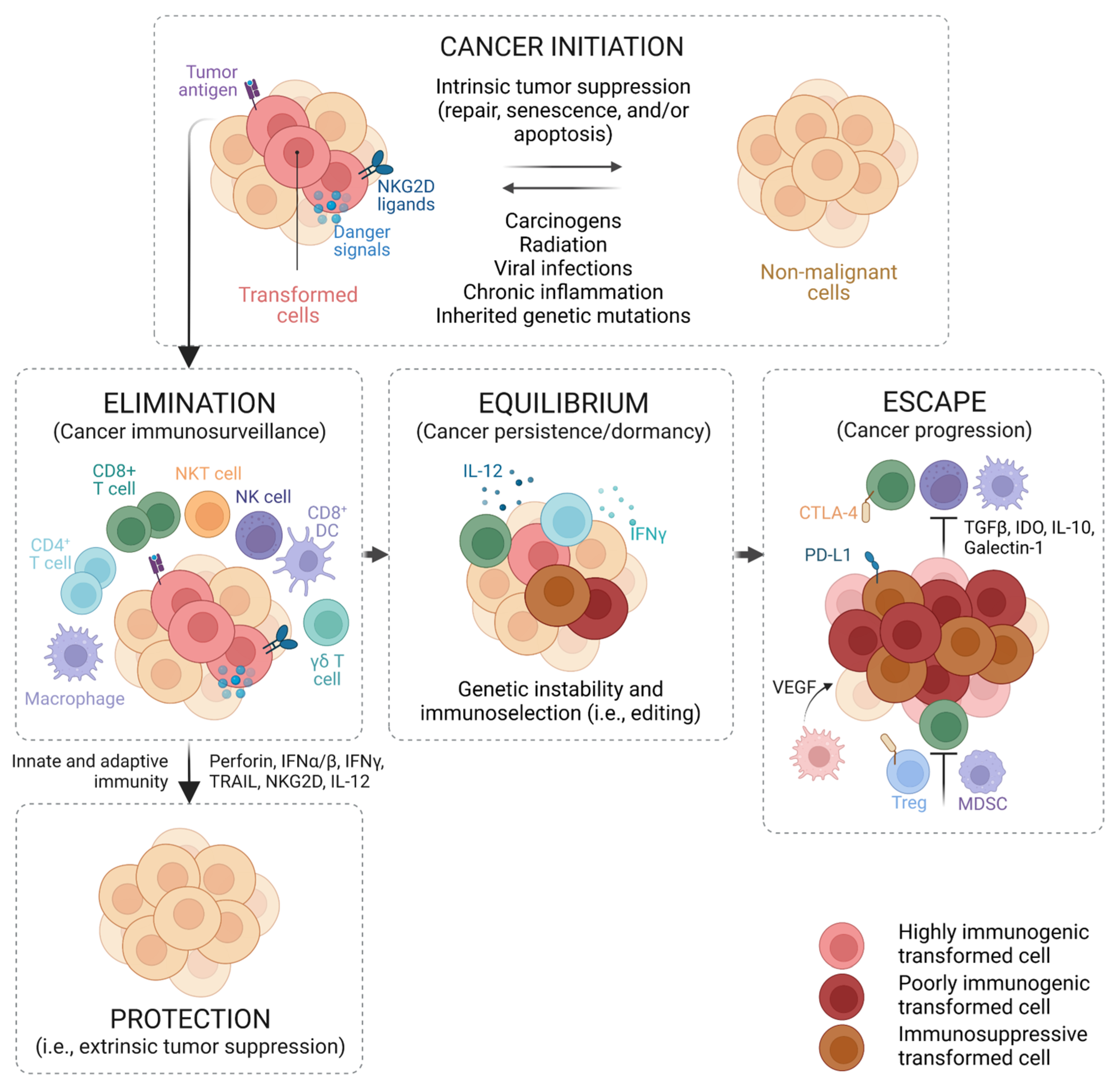 Pharmaceutics 15 02003 g001