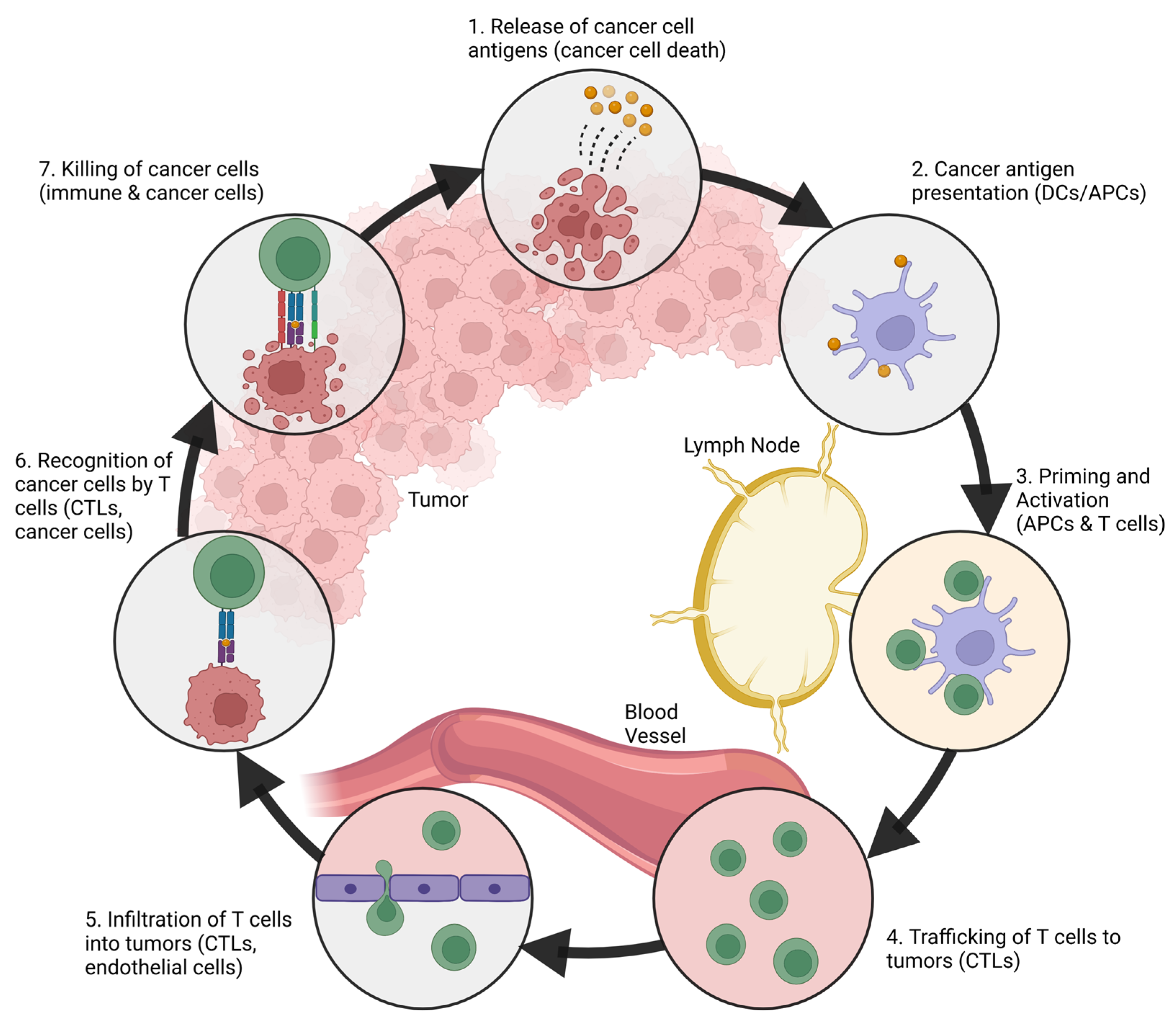 Pharmaceutics 15 02003 g002