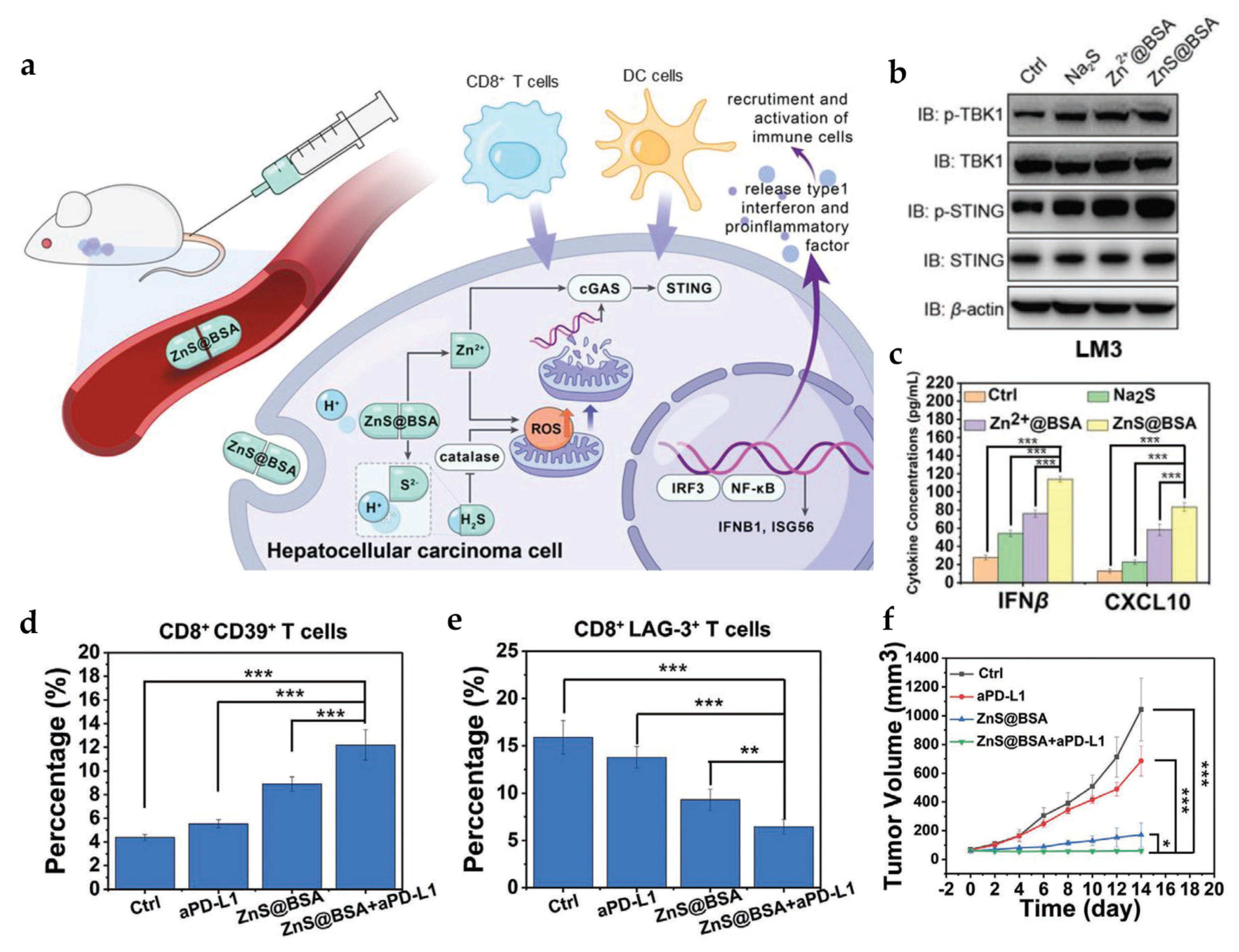 Pharmaceutics 15 02003 g004