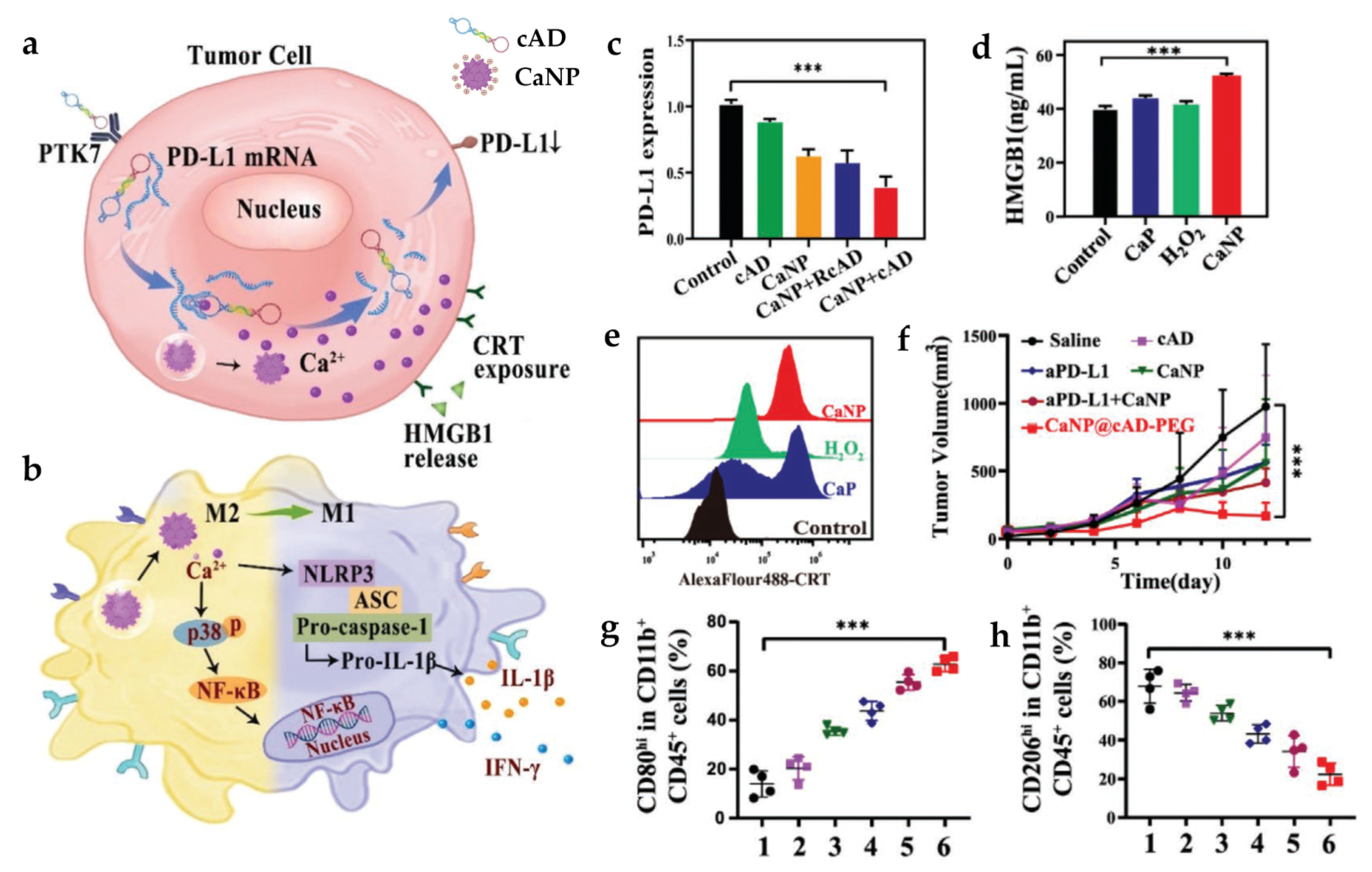 Pharmaceutics 15 02003 g006