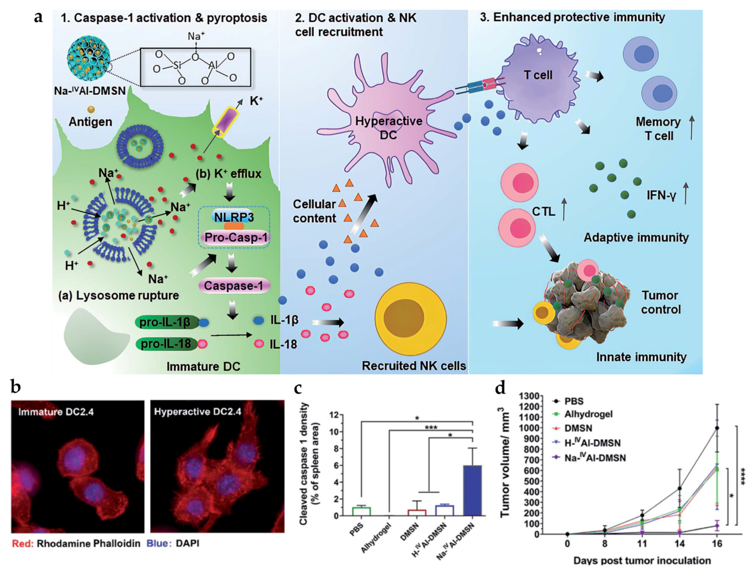 Pharmaceutics 15 02003 g007
