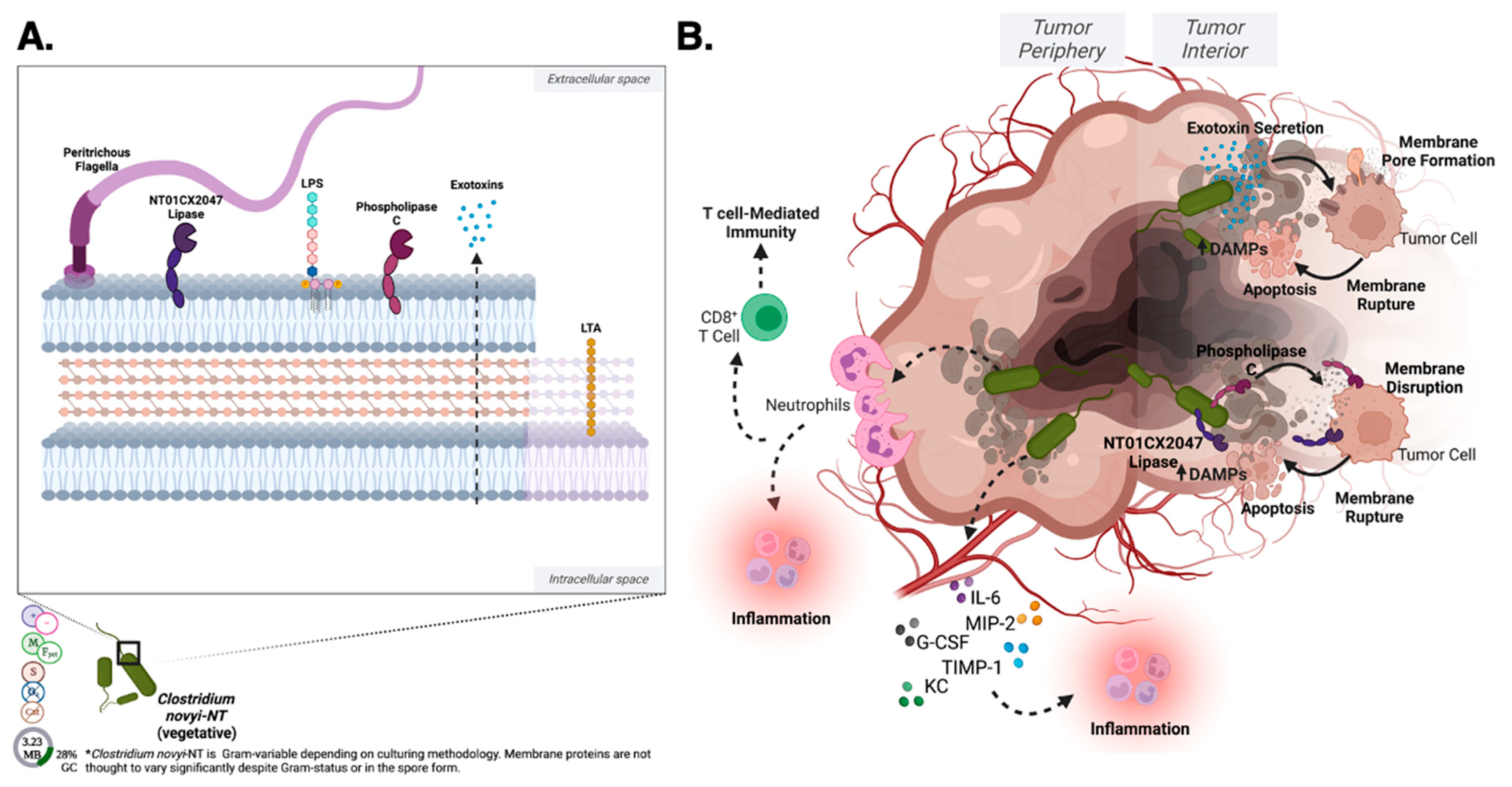 Pharmaceutics 15 02004 g005 Pharmaceutics 15 02004 g005
