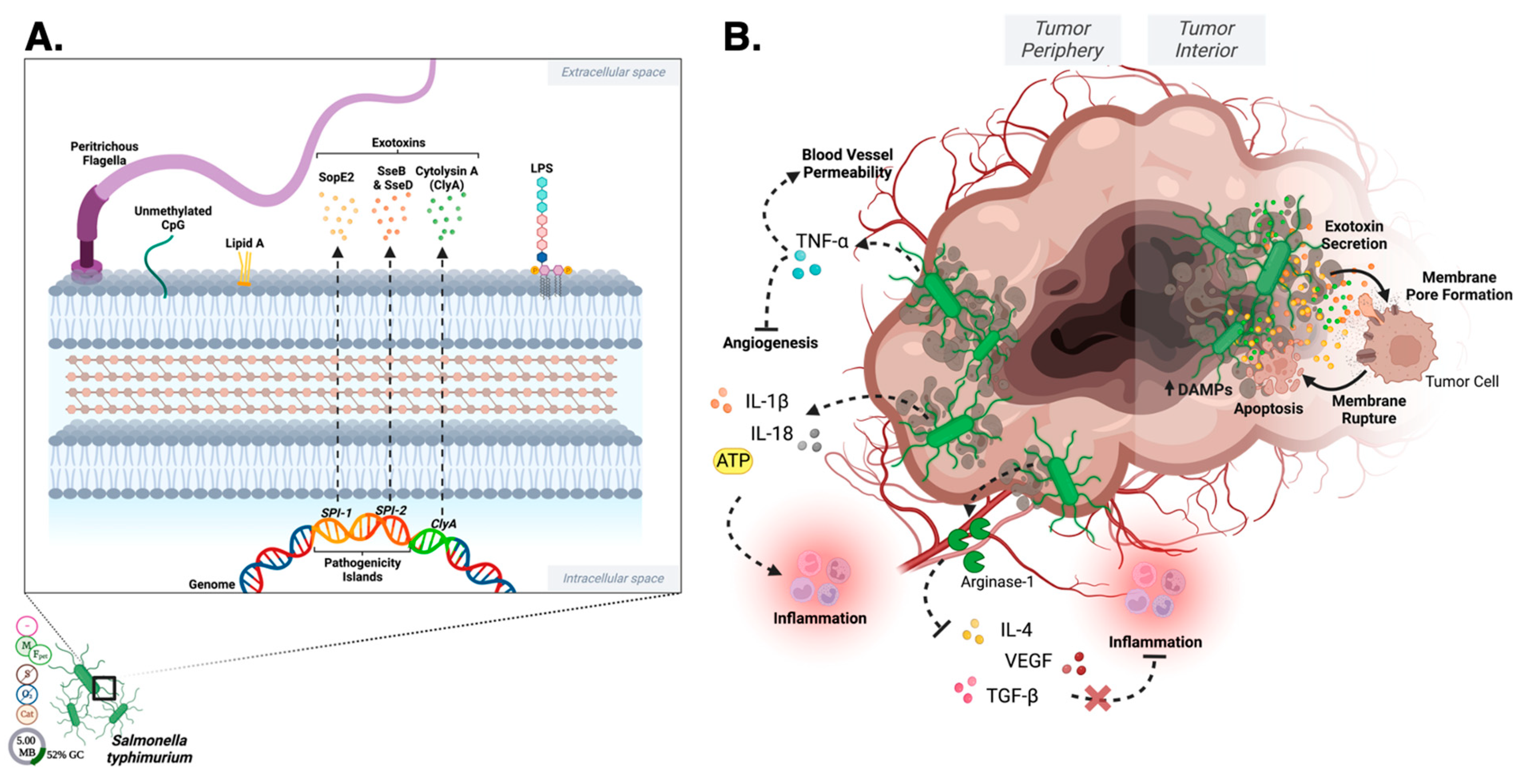 Pharmaceutics 15 02004 g006 Pharmaceutics 15 02004 g006