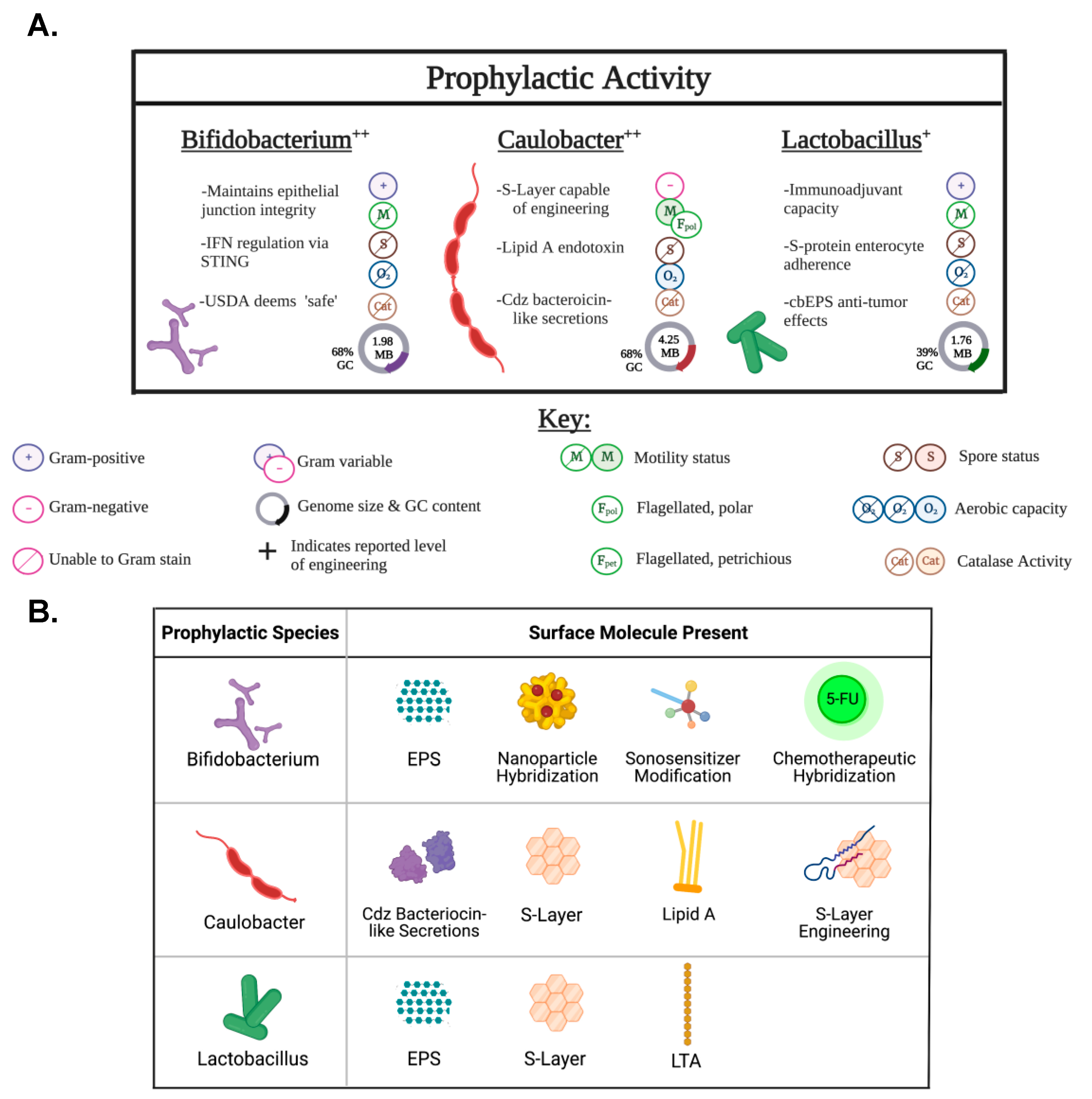 Pharmaceutics 15 02004 g007 Pharmaceutics 15 02004 g007