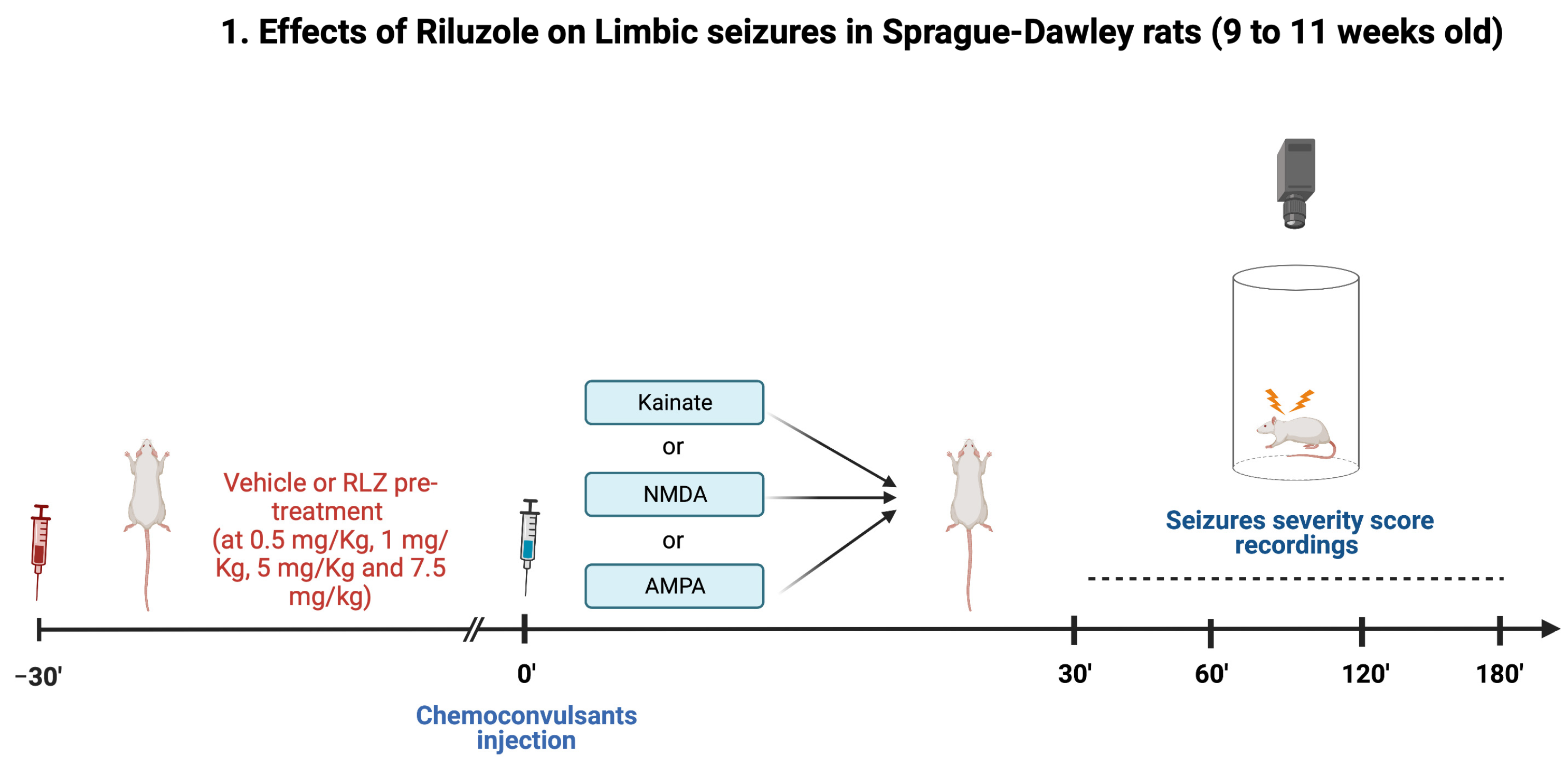 Pharmaceutics 15 02006 g001 Pharmaceutics 15 02006 g001