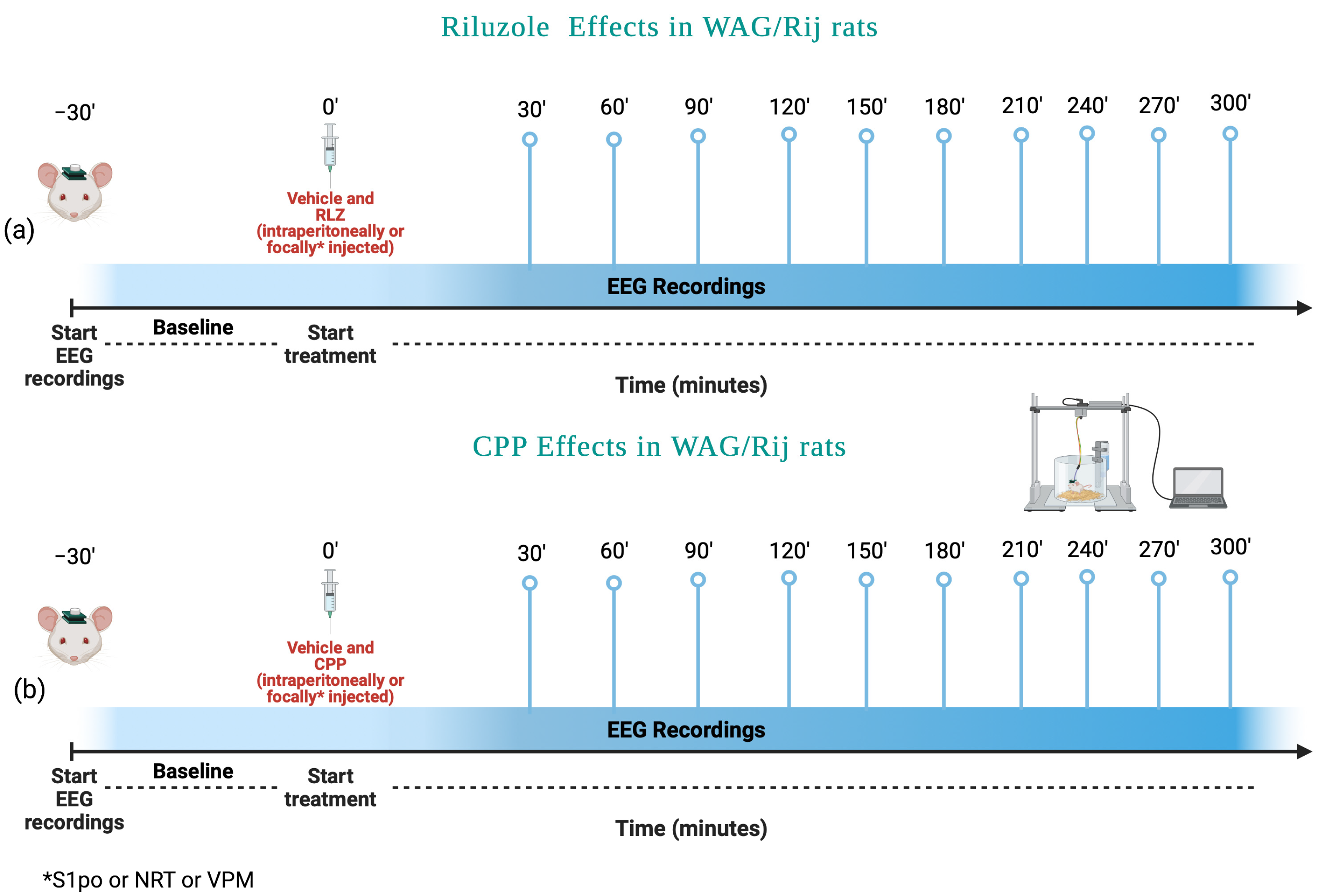 Pharmaceutics 15 02006 g002 Pharmaceutics 15 02006 g002