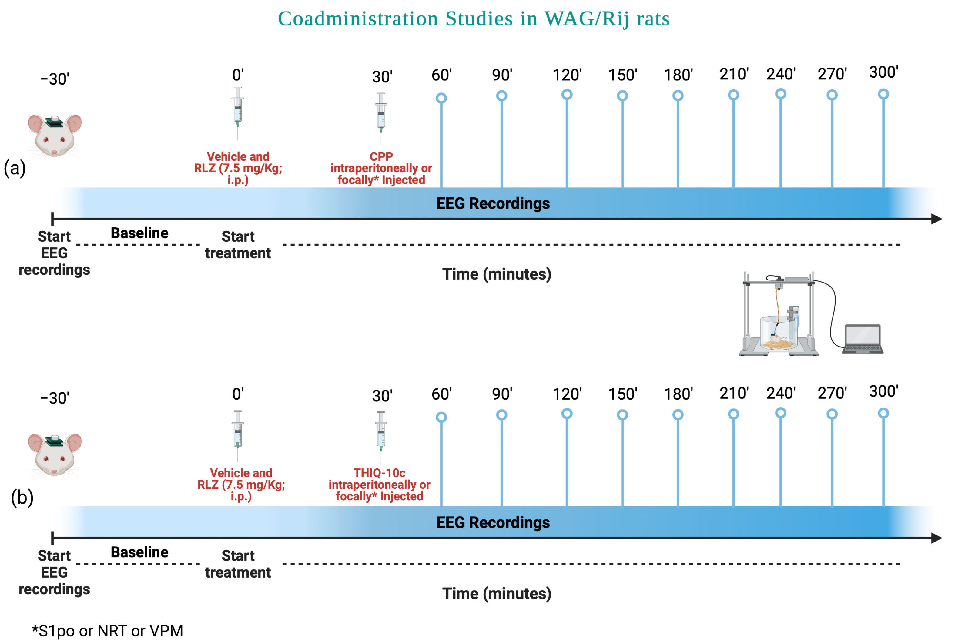 Pharmaceutics 15 02006 g003 Pharmaceutics 15 02006 g003