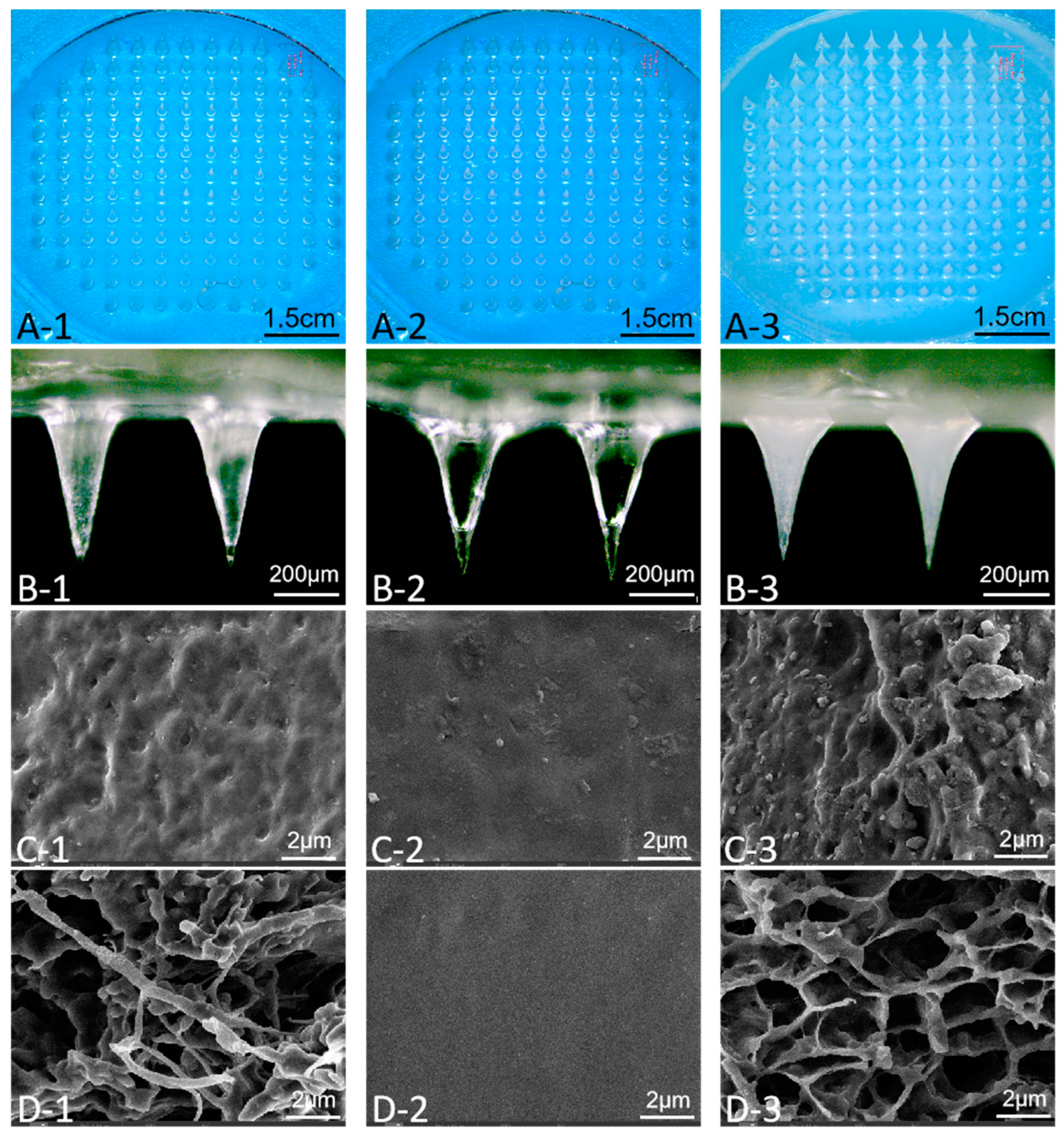 Pharmaceutics 15 02007 g004 Pharmaceutics 15 02007 g004