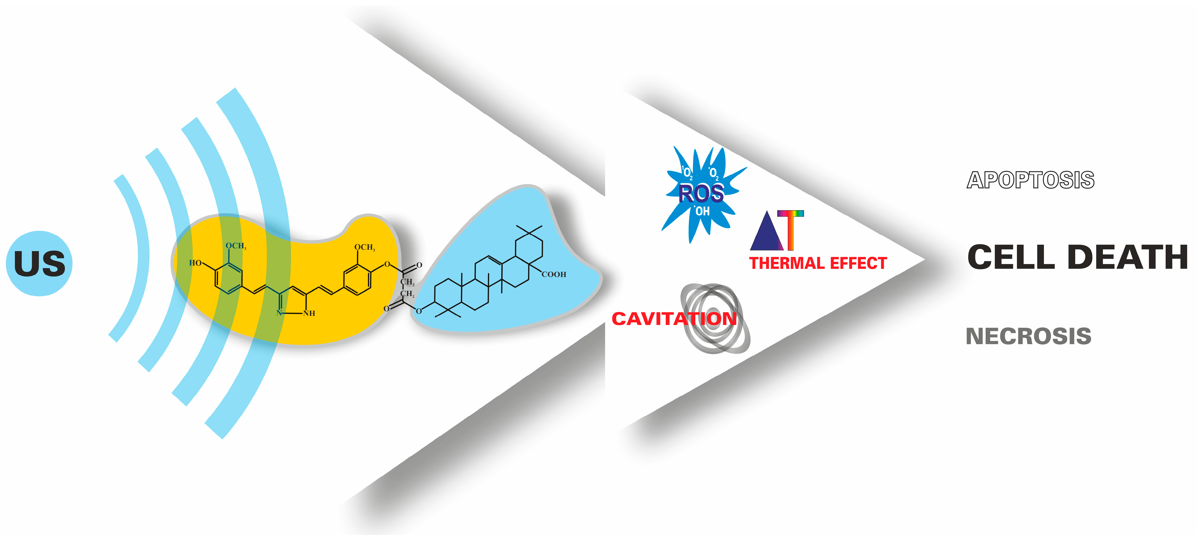 Pharmaceutics 15 02008 g002 Pharmaceutics 15 02008 g002