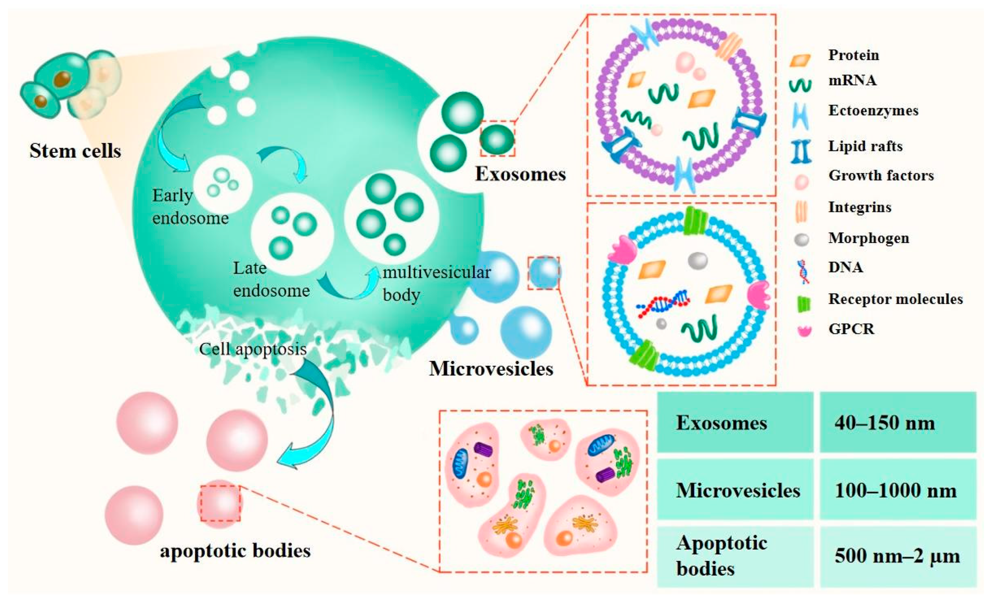 Pharmaceutics 15 02011 g002 Pharmaceutics 15 02011 g002