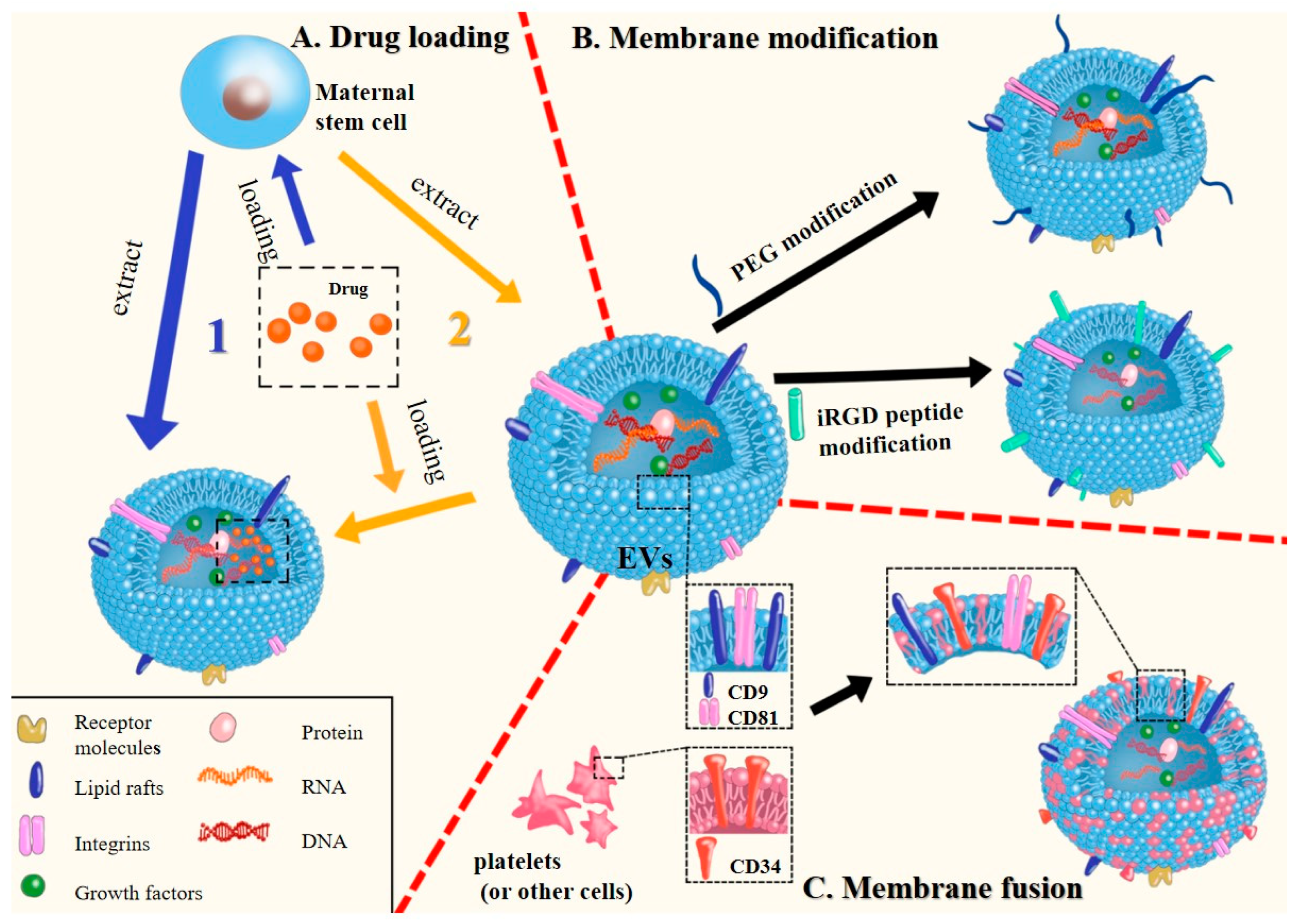 Pharmaceutics 15 02011 g003 Pharmaceutics 15 02011 g003