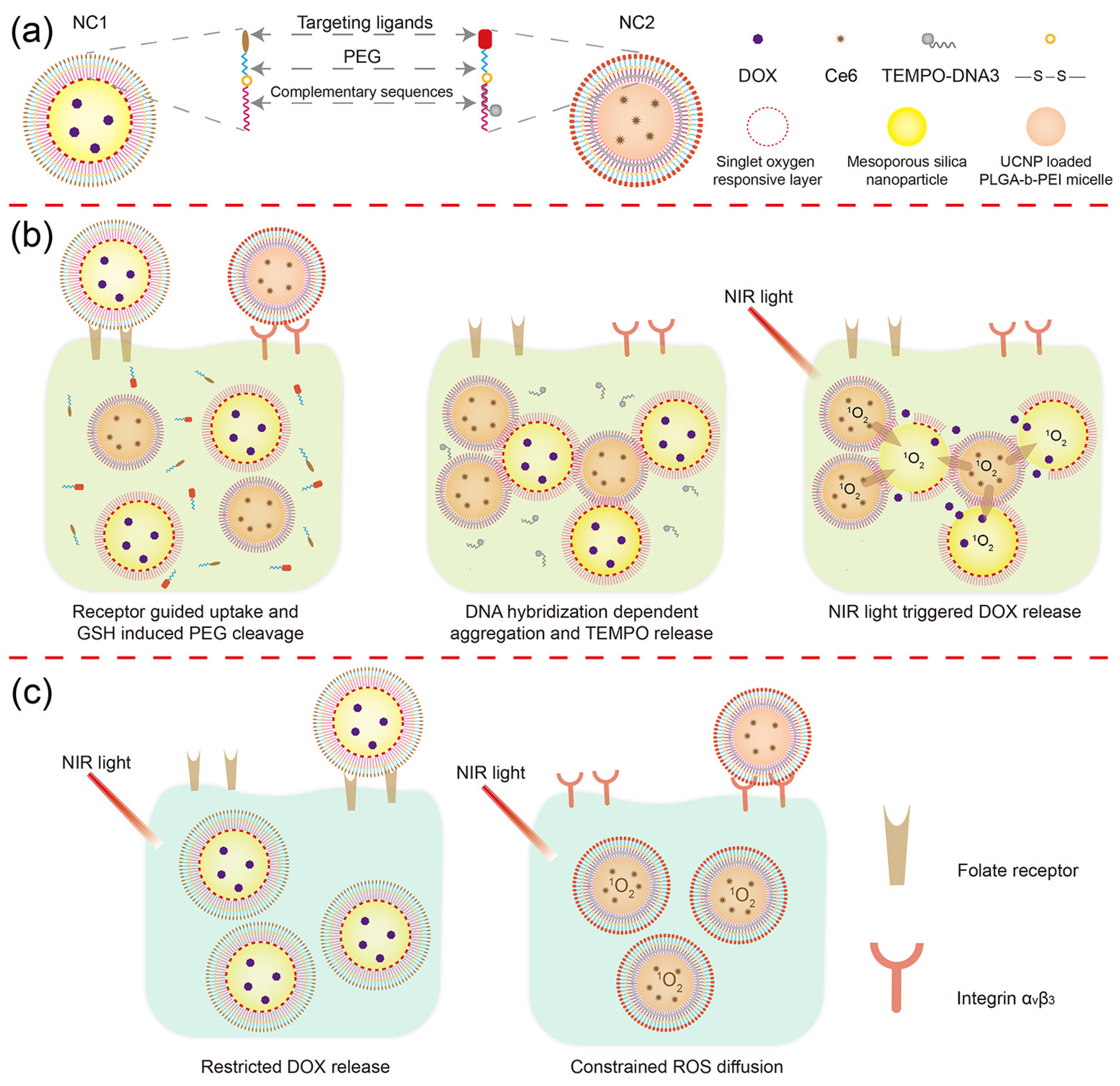 Pharmaceutics 15 02014 g001 Pharmaceutics 15 02014 g001
