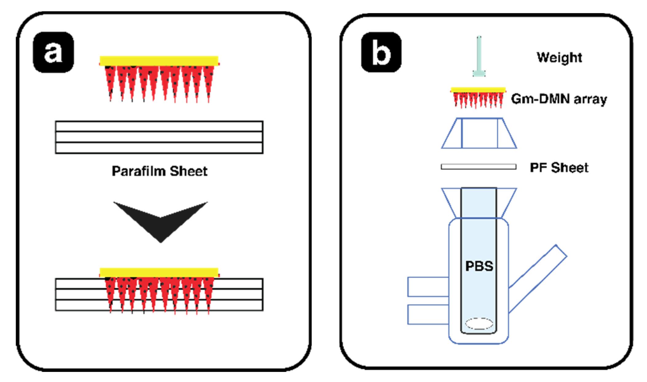 Pharmaceutics 15 02019 g005