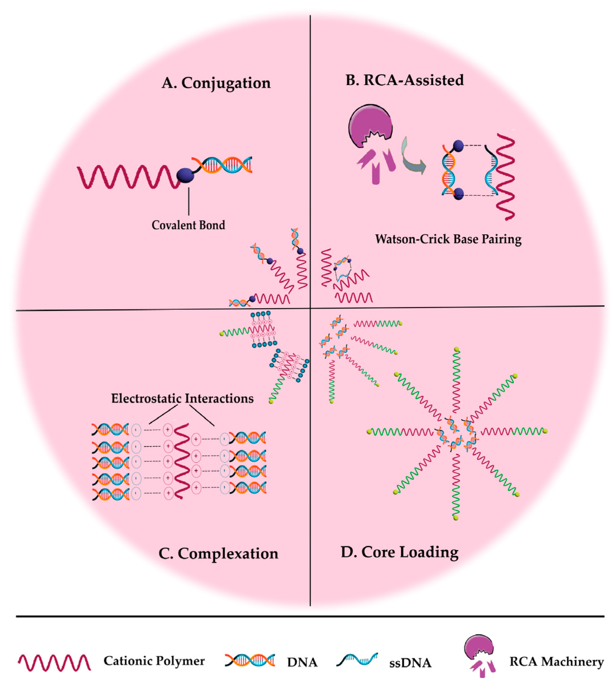 Pharmaceutics 15 02021 g003