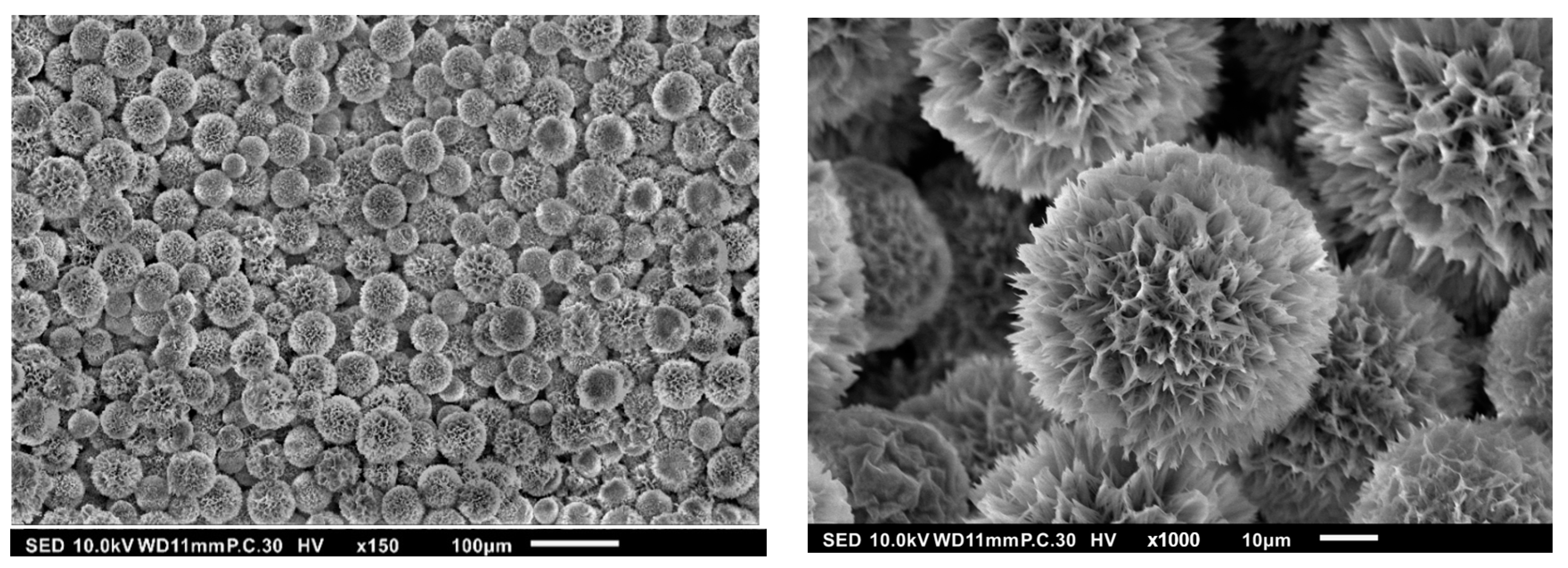 Pharmaceutics 15 02025 g003