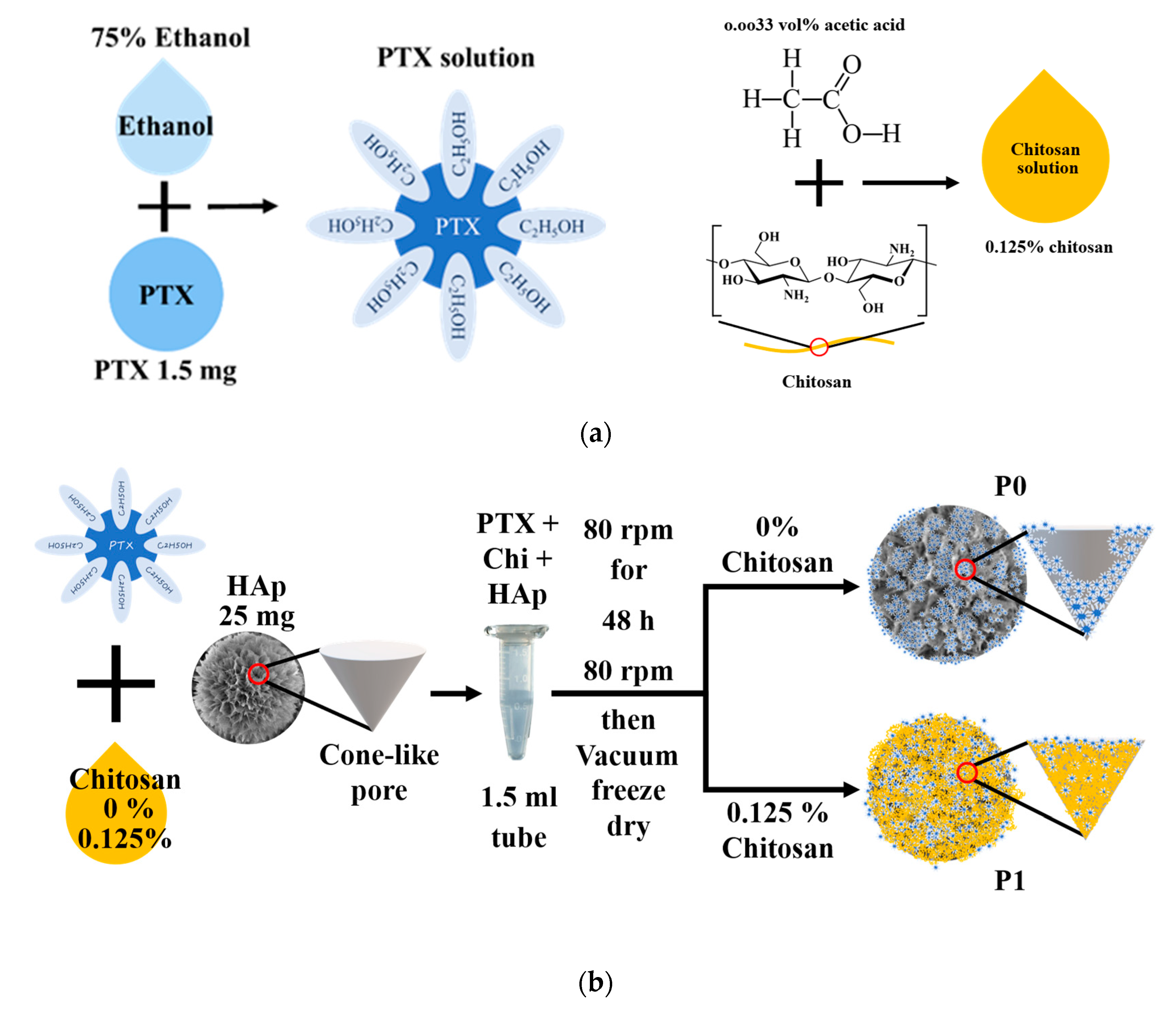 Pharmaceutics Free FullText Effects of Adding Chitosan on Drug