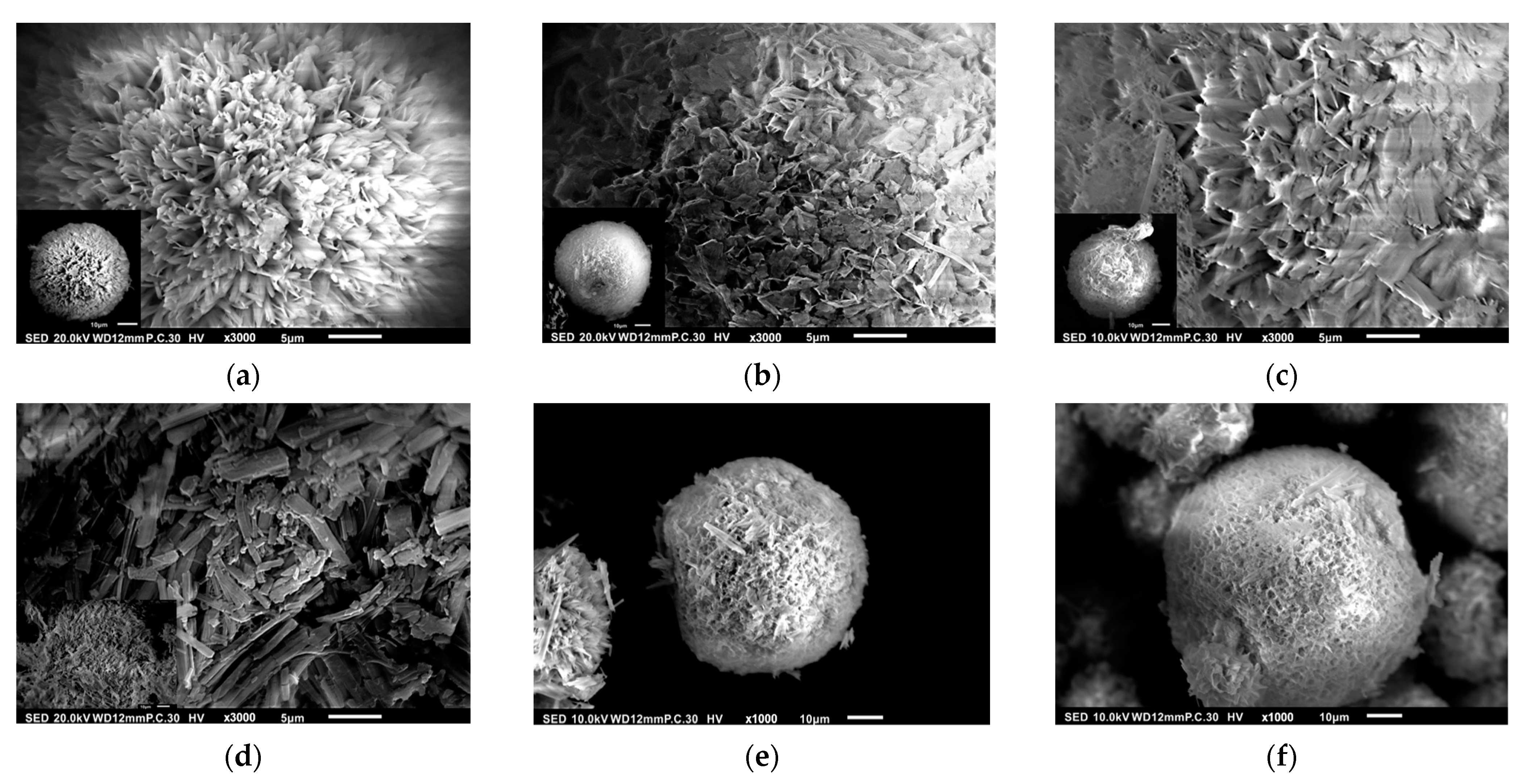 Pharmaceutics 15 02025 g006