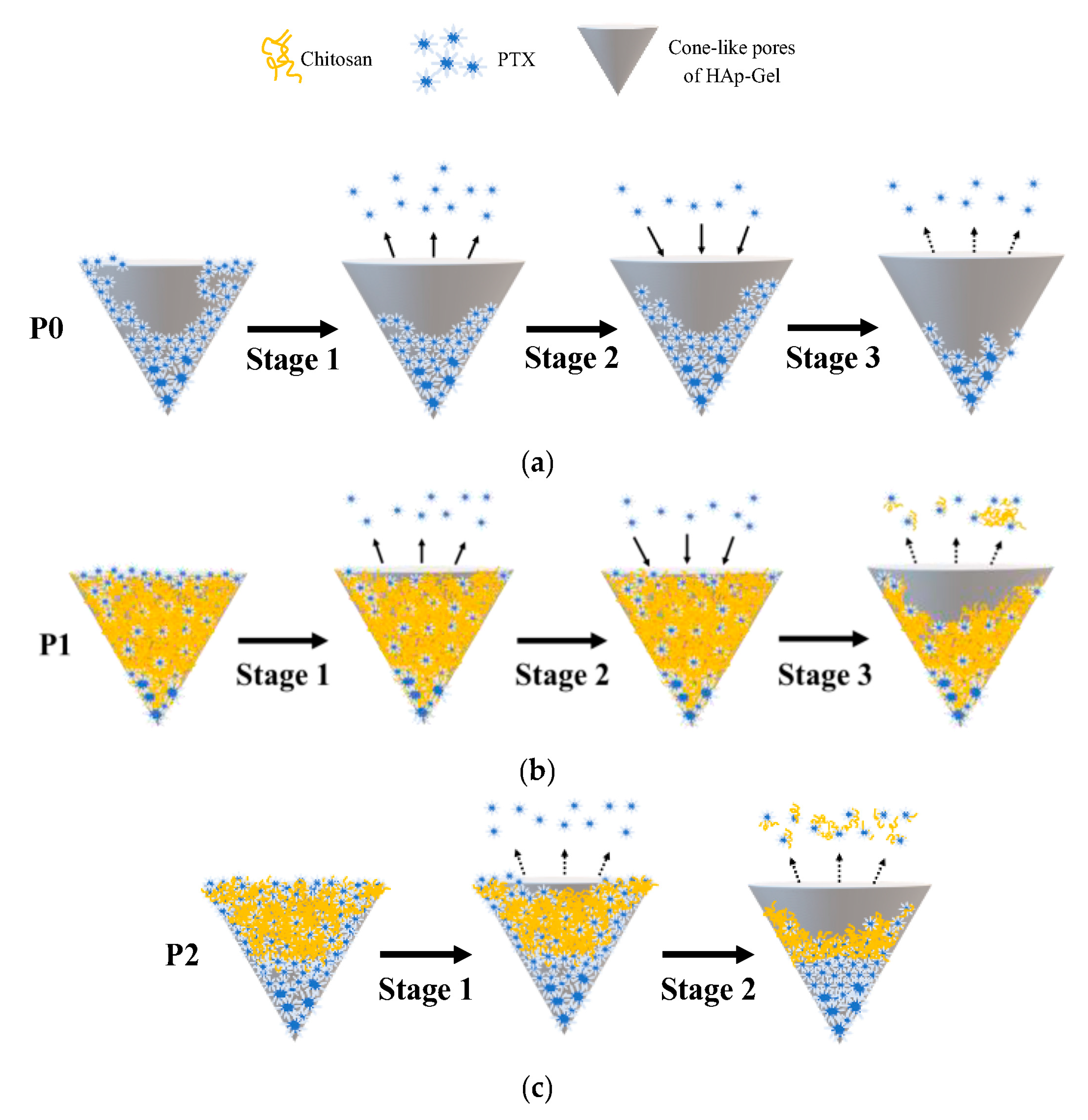 Pharmaceutics 15 02025 g008