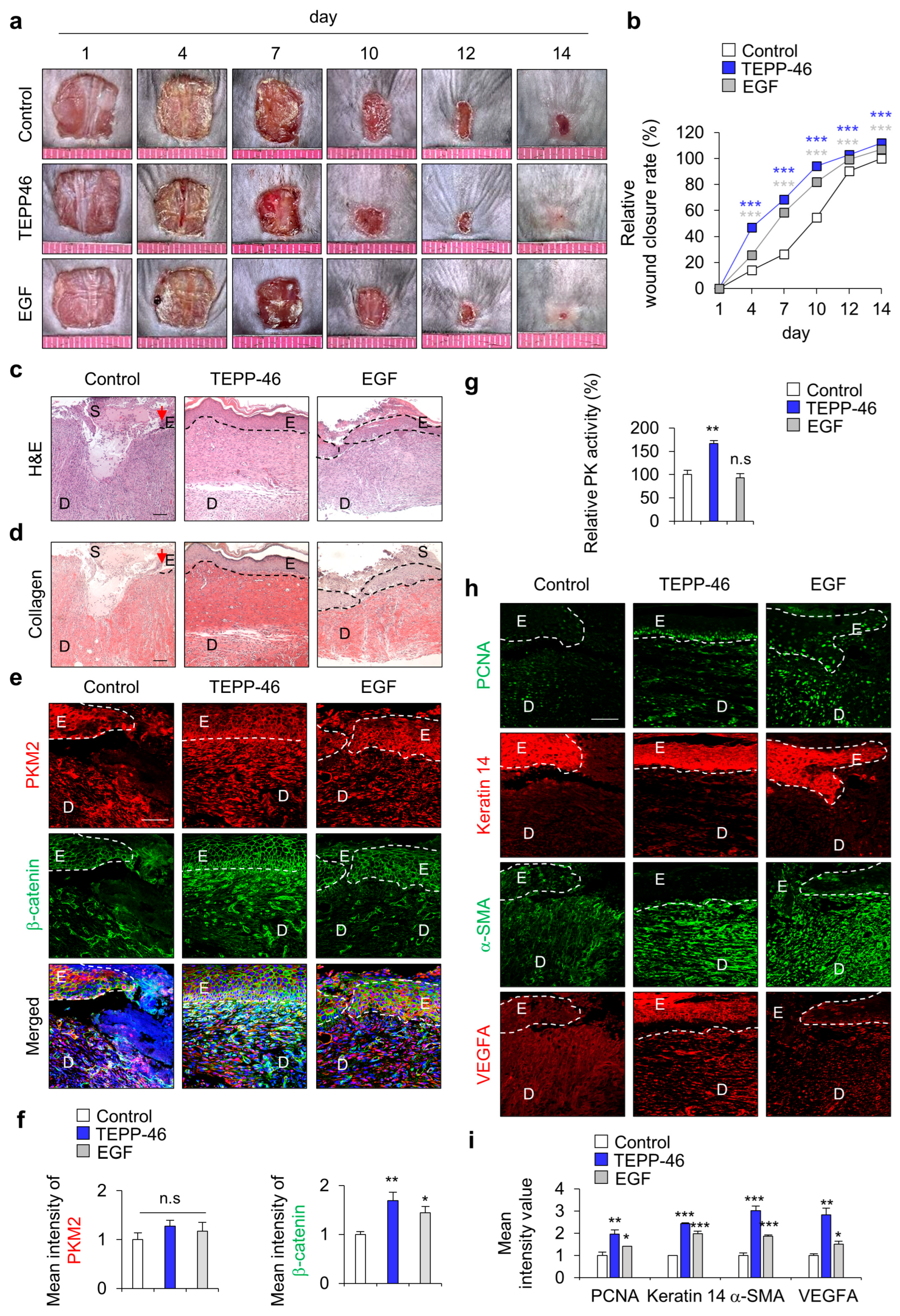 Pharmaceutics 15 02028 g002 Pharmaceutics 15 02028 g002