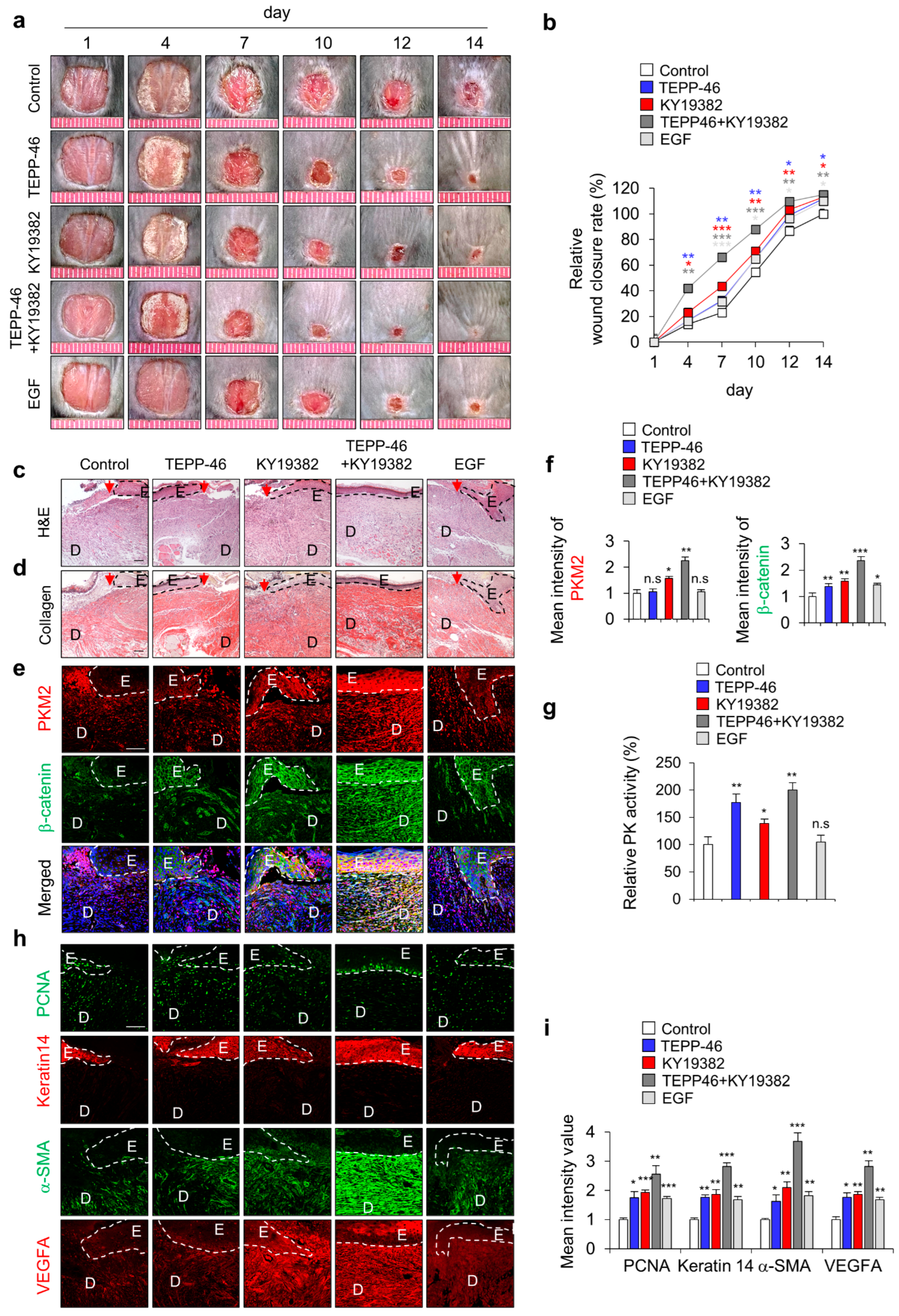 Pharmaceutics 15 02028 g003 Pharmaceutics 15 02028 g003