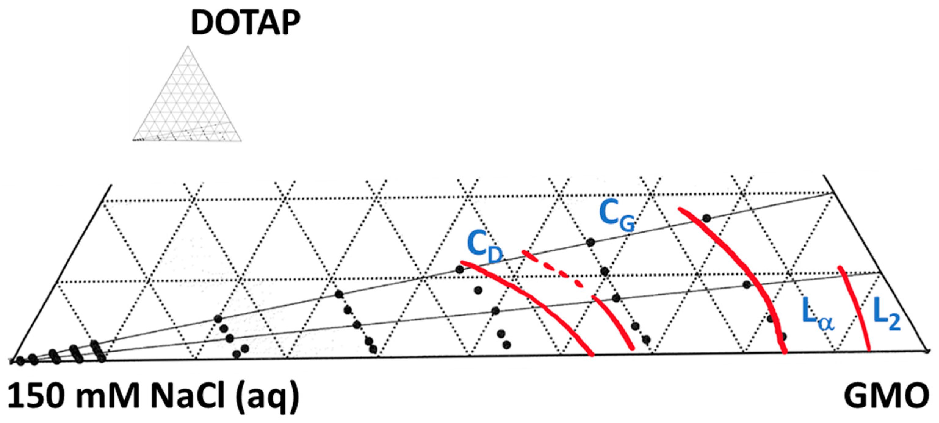 Pharmaceutics 15 02031 g005 Pharmaceutics 15 02031 g005