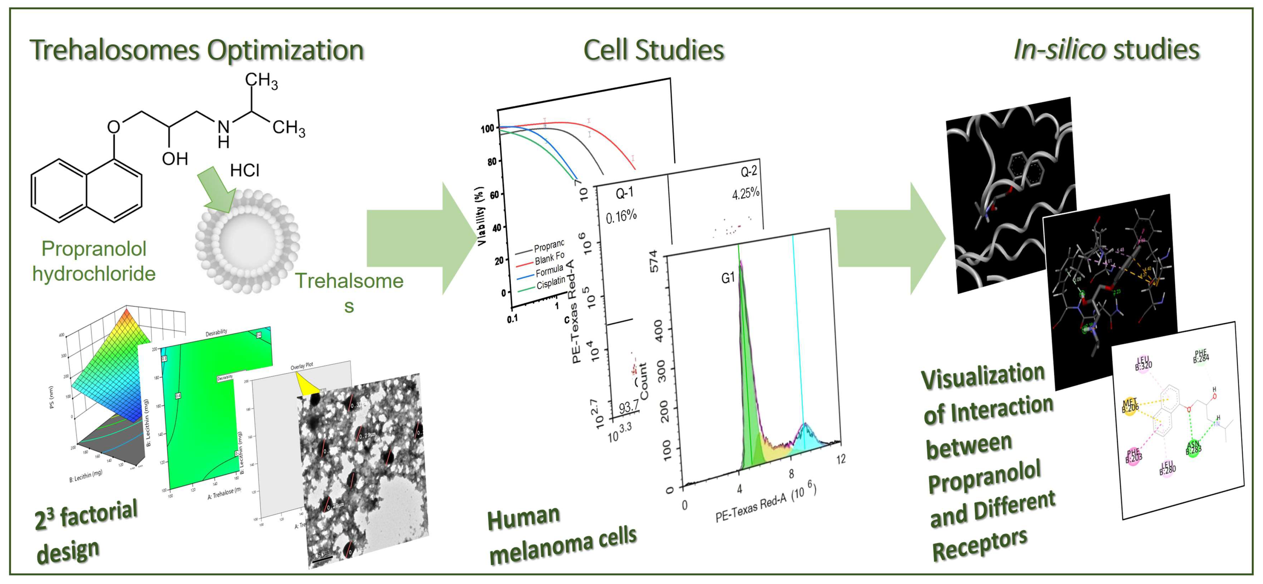 Pharmaceutics 15 02033 sch001