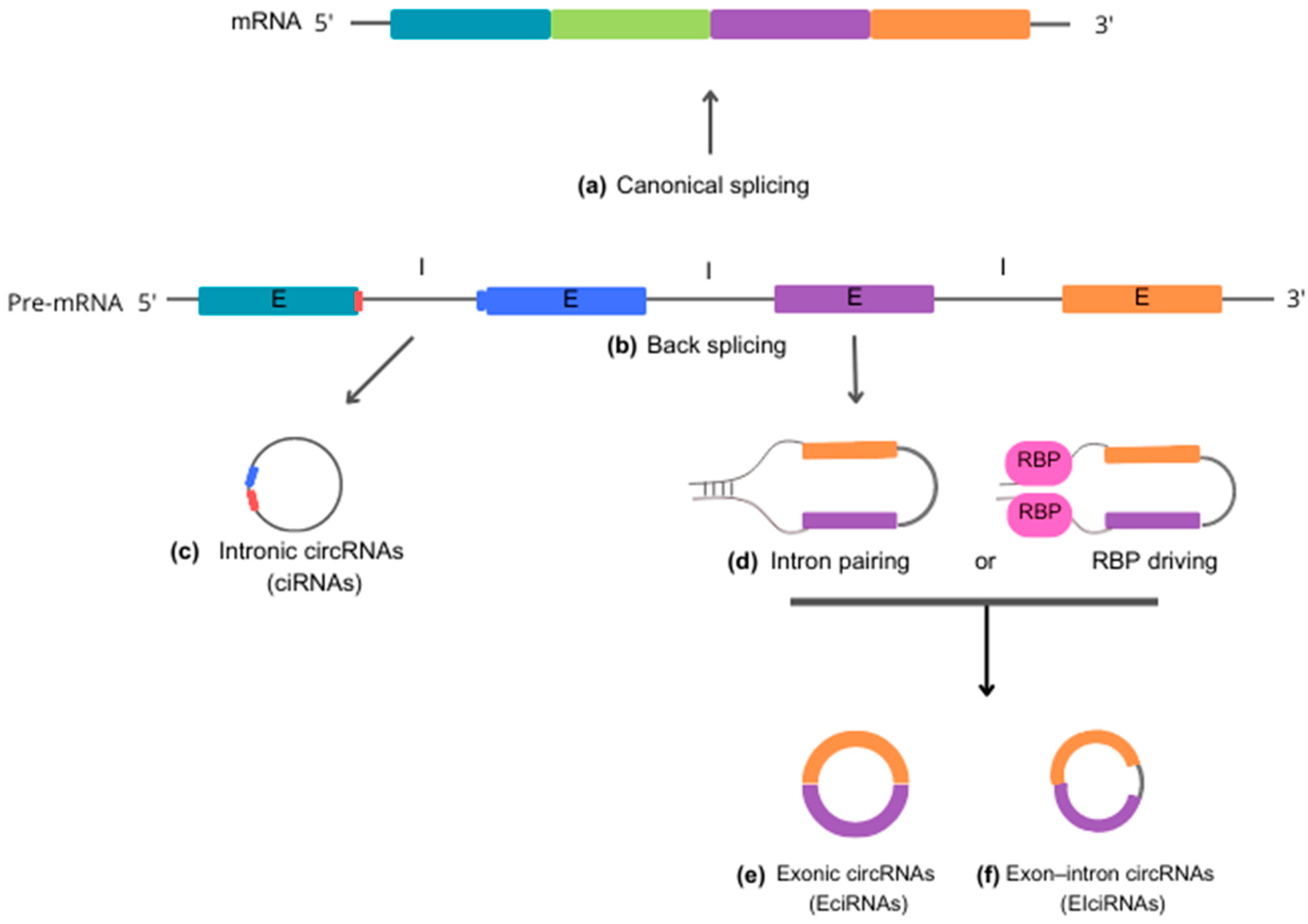 Pharmaceutics 15 02035 g001 Pharmaceutics 15 02035 g001