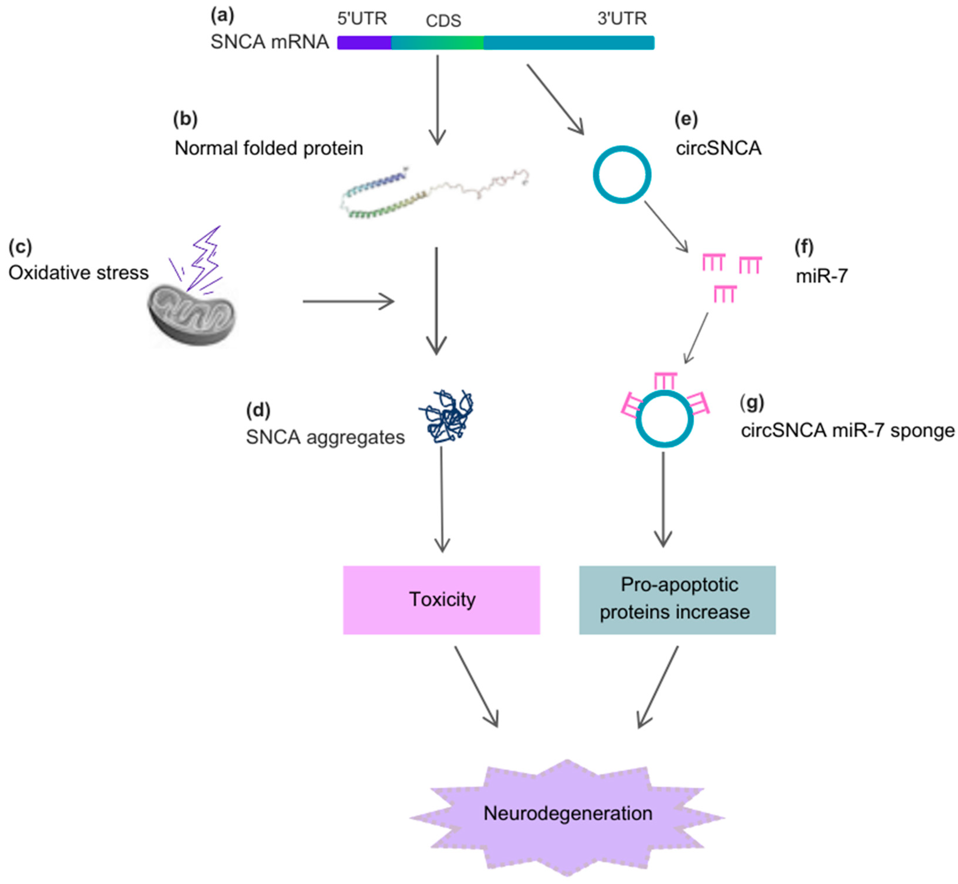 Pharmaceutics 15 02035 g002 Pharmaceutics 15 02035 g002