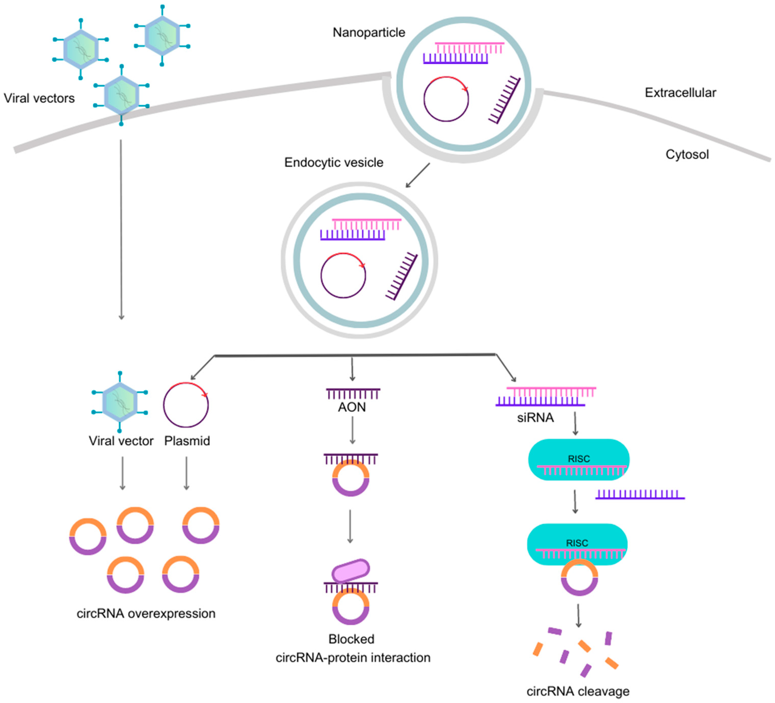 Pharmaceutics 15 02035 g003 Pharmaceutics 15 02035 g003