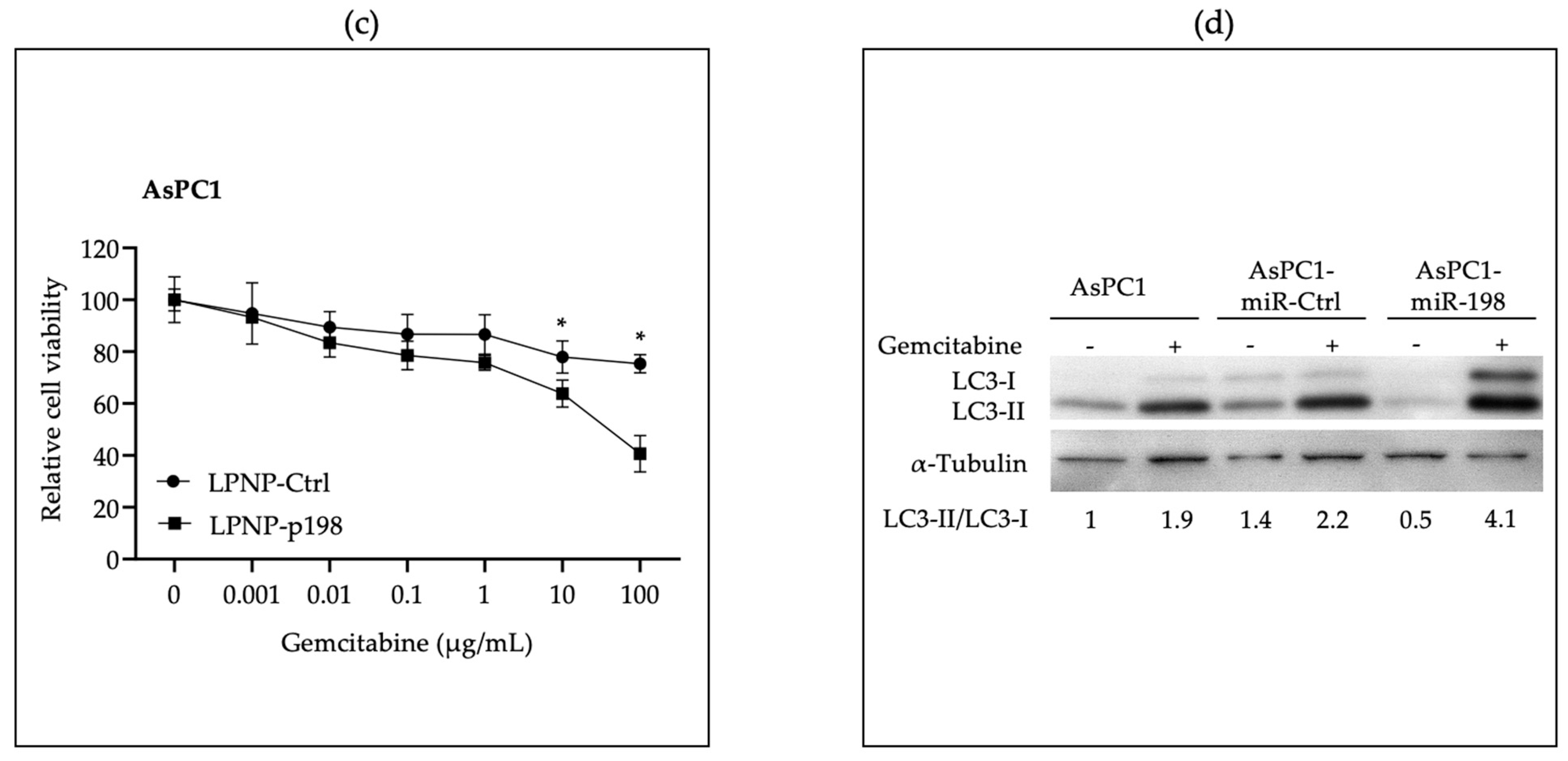 Pharmaceutics 15 02038 g001b Pharmaceutics 15 02038 g001b