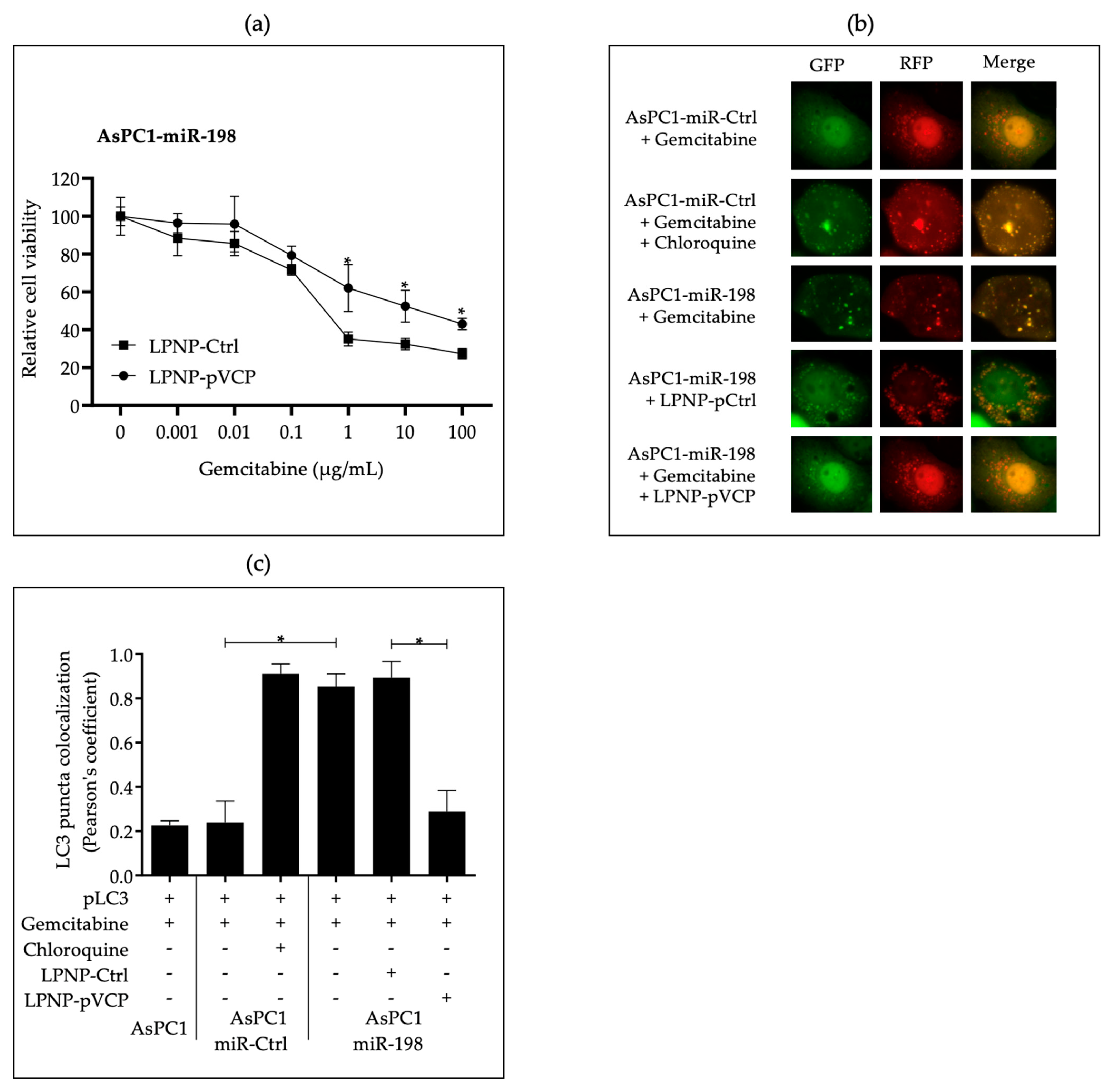 Pharmaceutics 15 02038 g002 Pharmaceutics 15 02038 g002