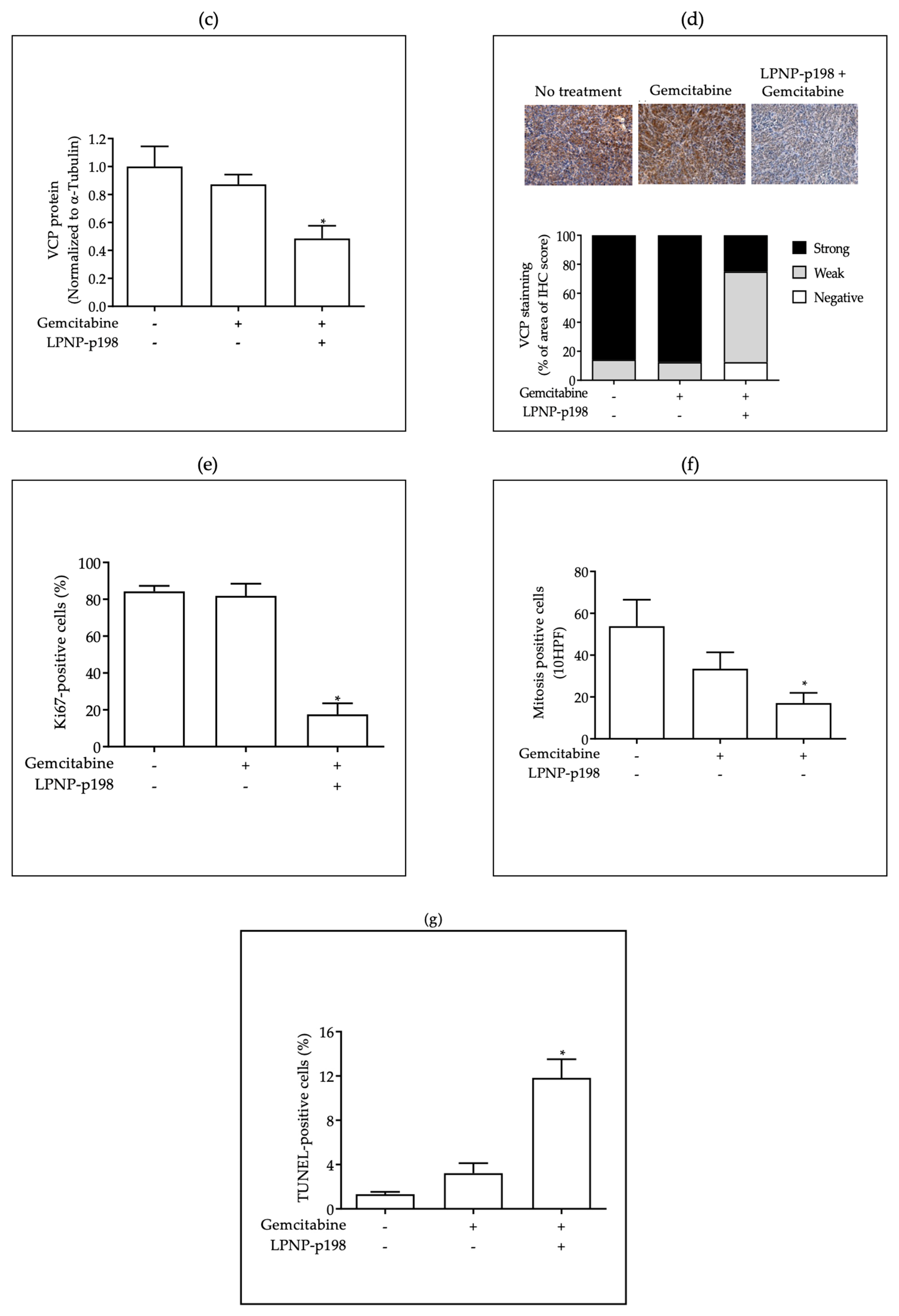 Pharmaceutics 15 02038 g004b Pharmaceutics 15 02038 g004b