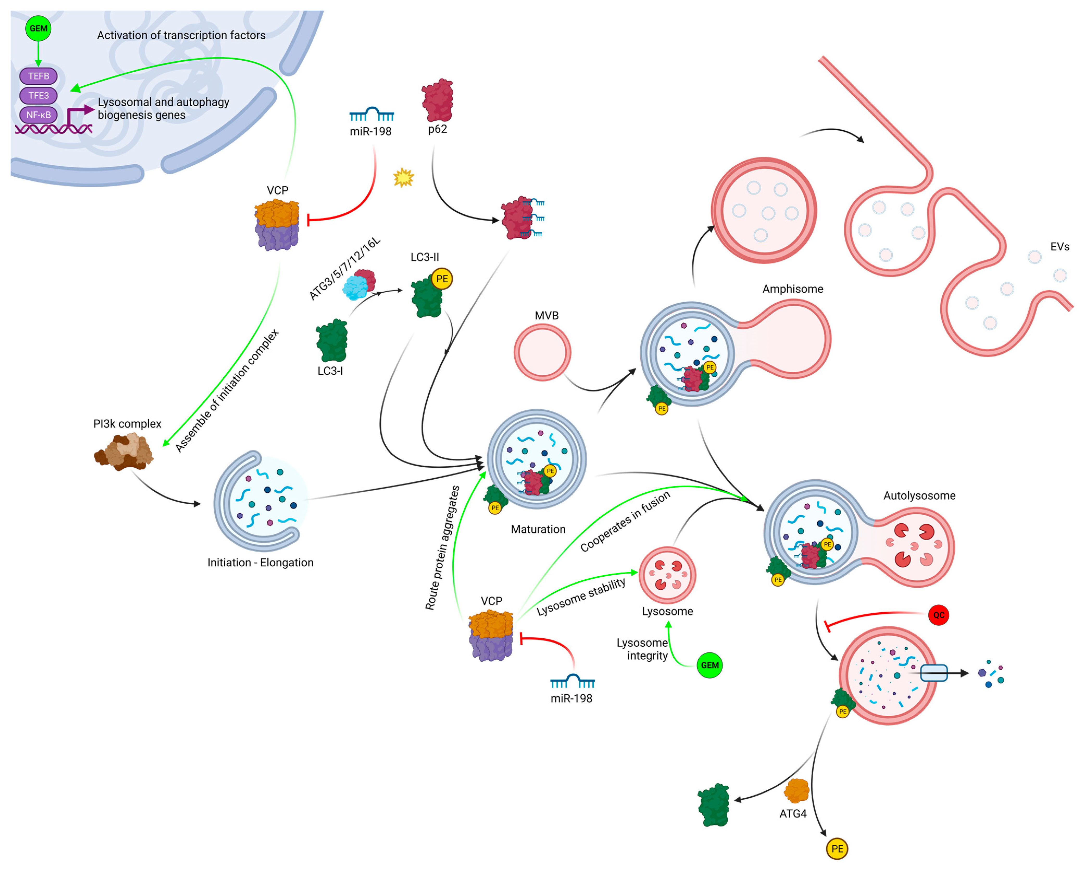 Pharmaceutics 15 02038 g005 Pharmaceutics 15 02038 g005