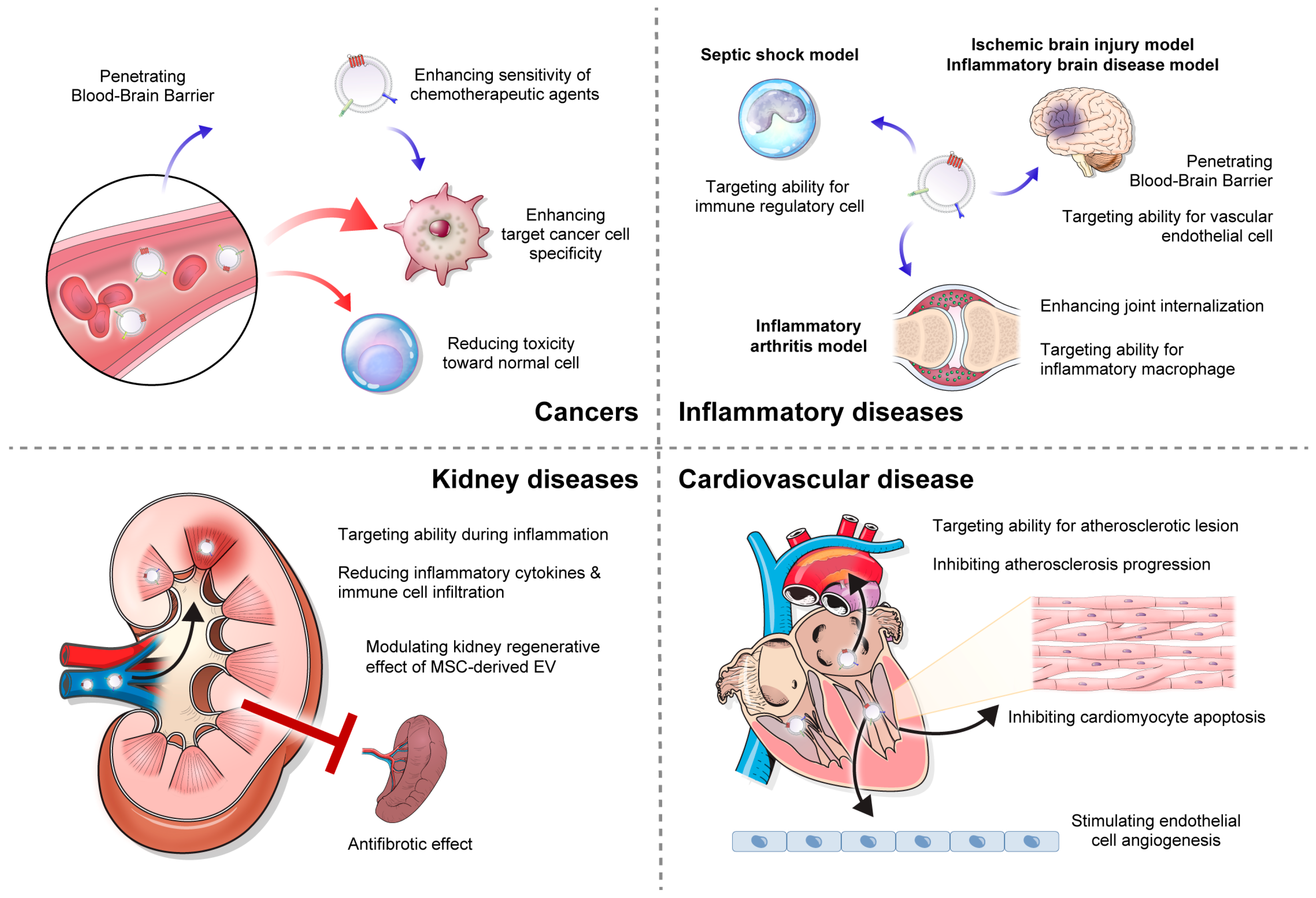 Pharmaceutics 15 02042 g003