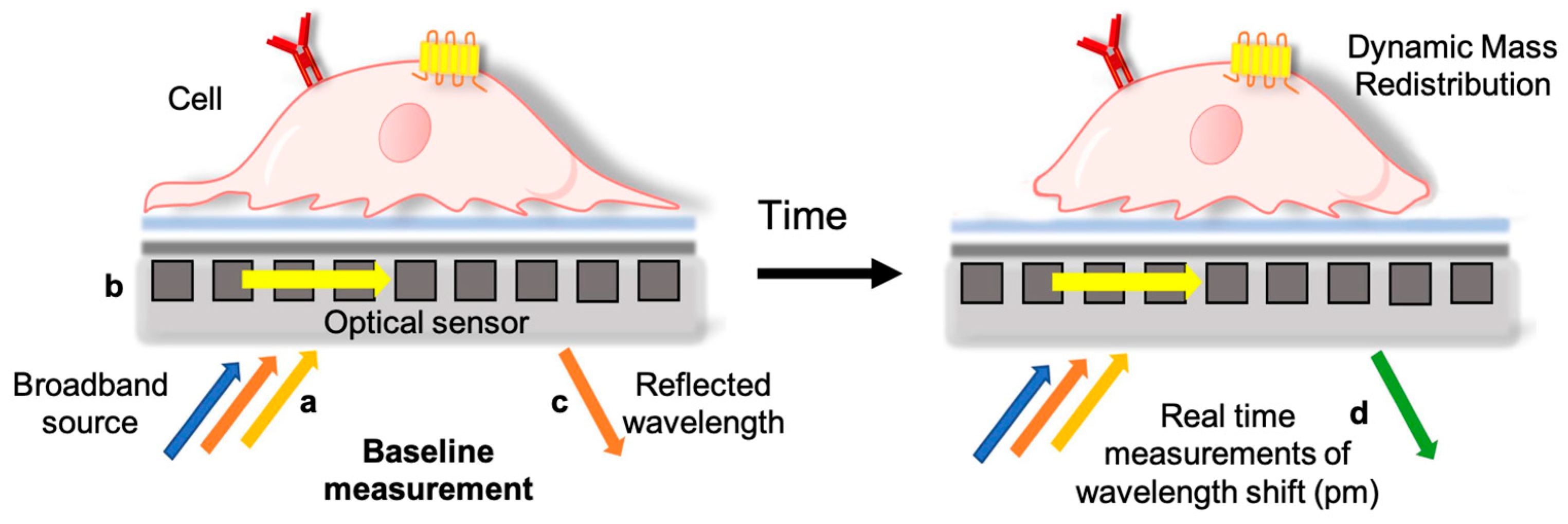 Pharmaceutics 15 02043 g001