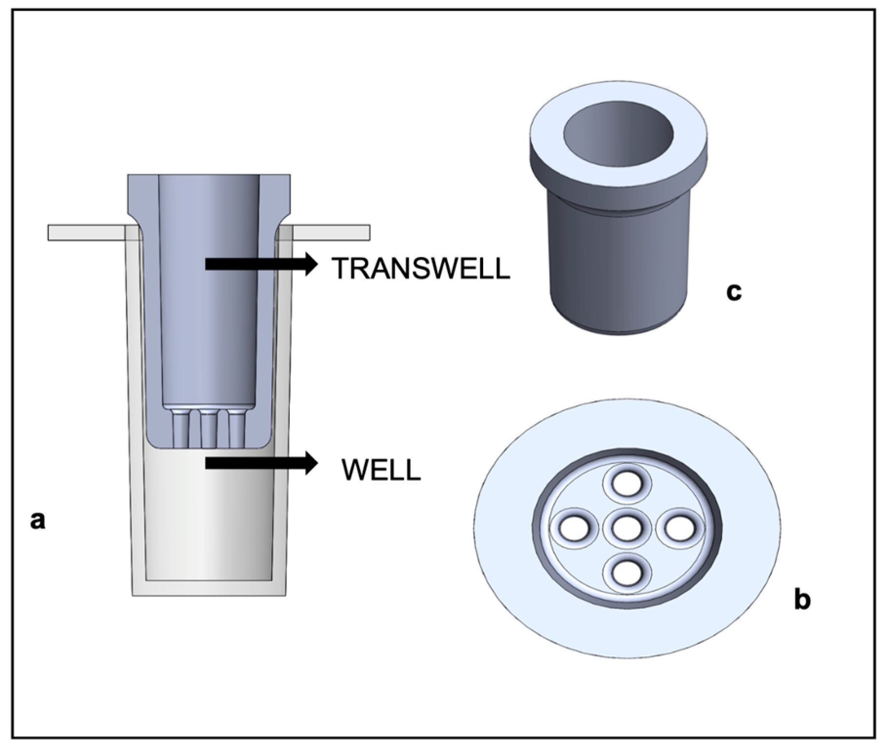 Pharmaceutics 15 02043 g003