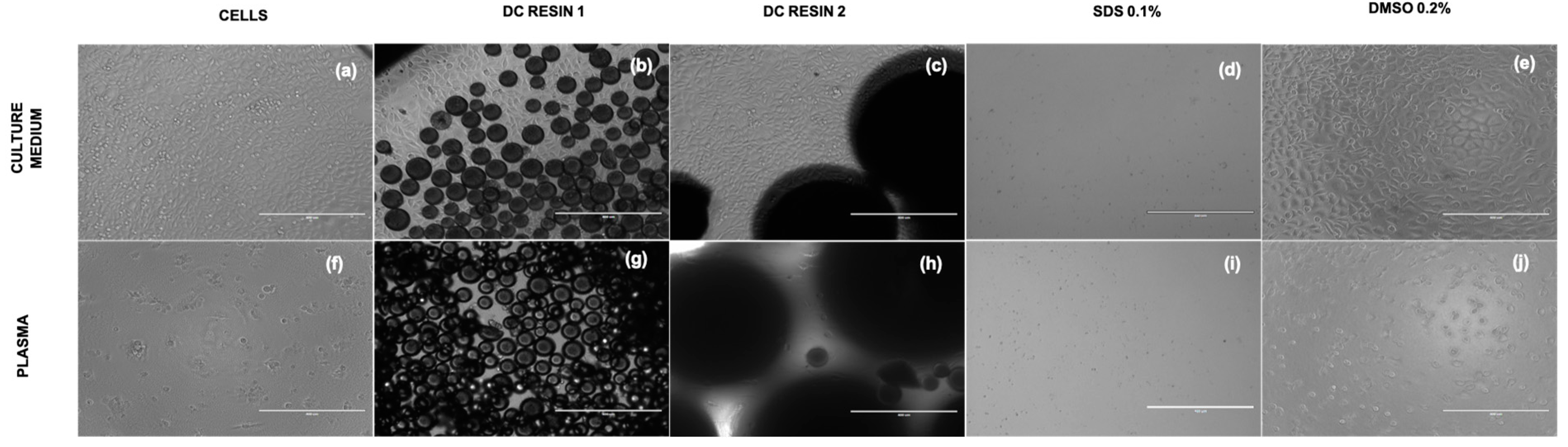Pharmaceutics 15 02043 g006