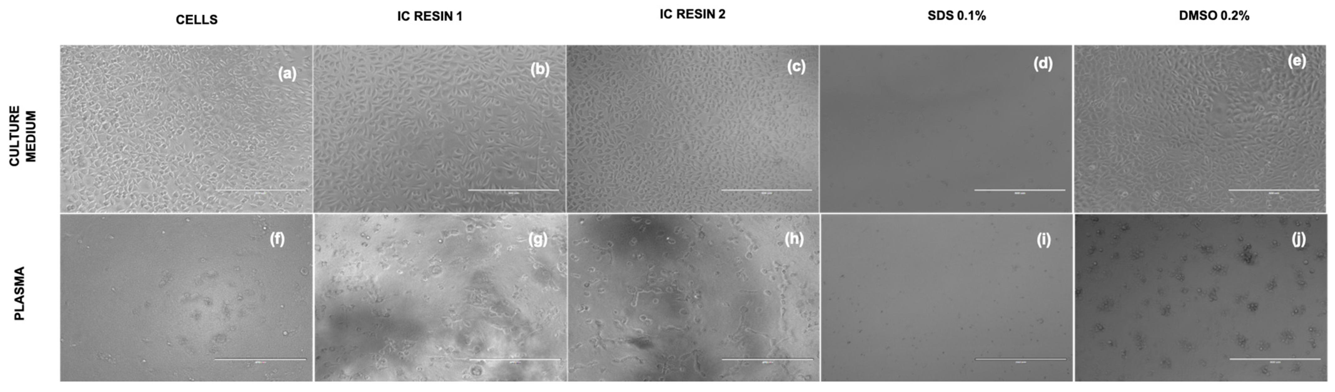 Pharmaceutics 15 02043 g009