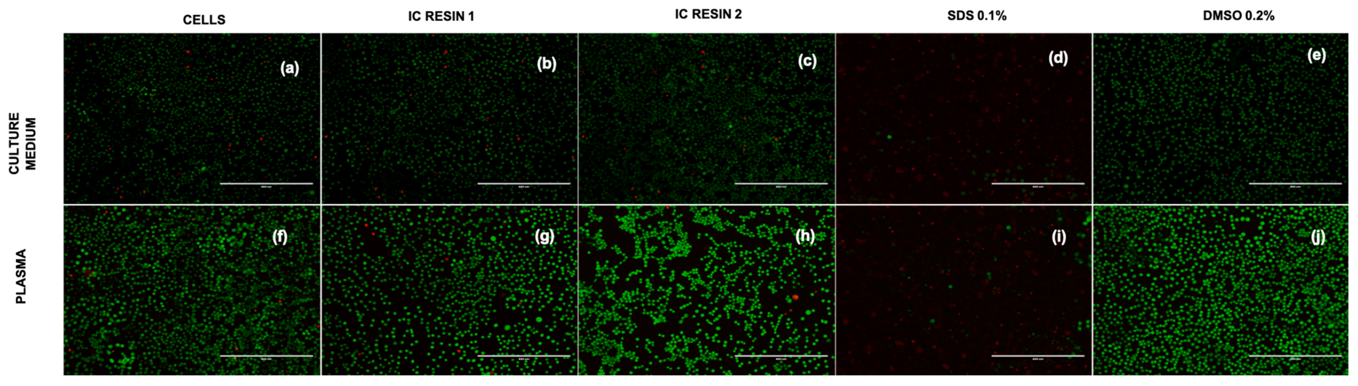 Pharmaceutics 15 02043 g010