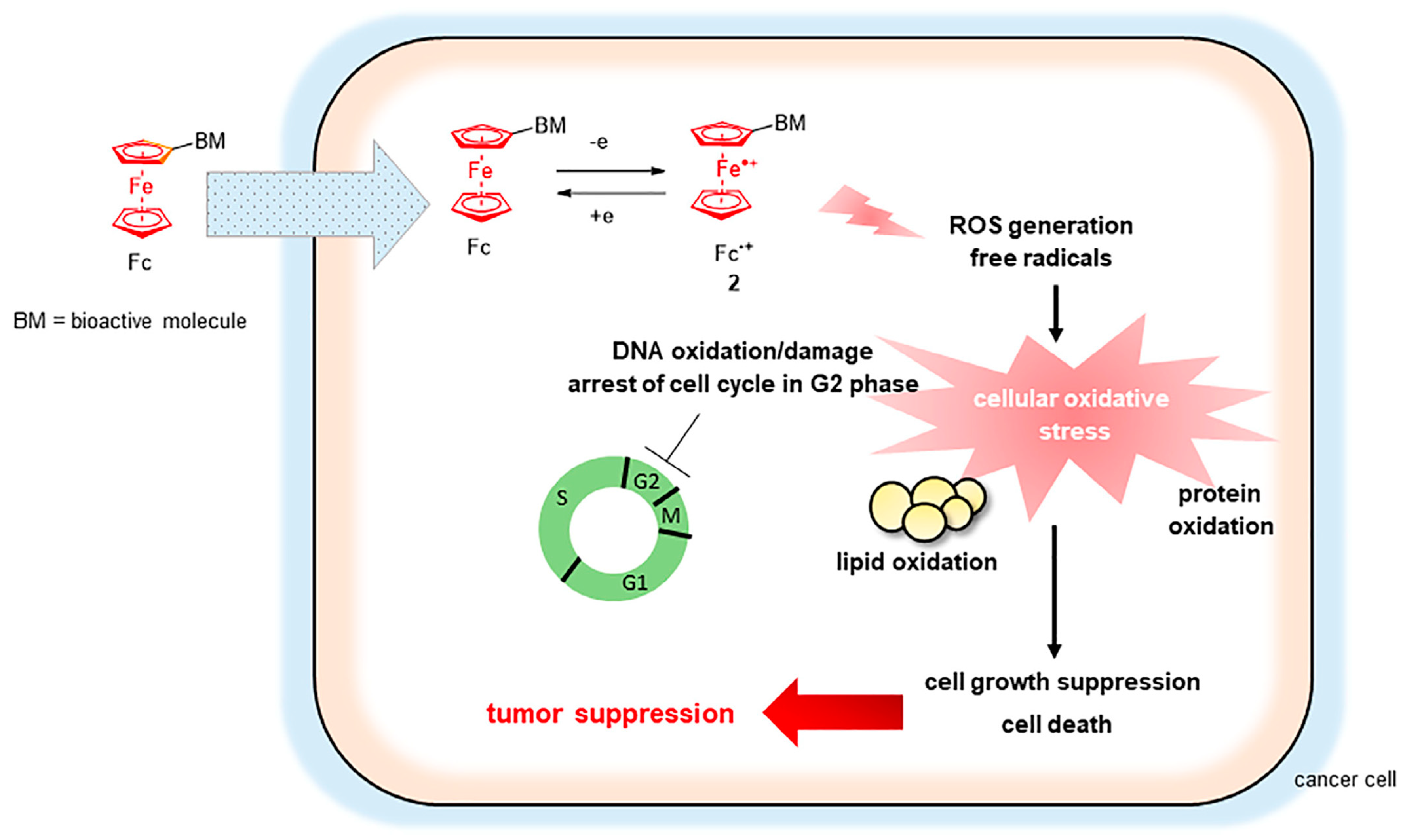Pharmaceutics 15 02044 g020 Pharmaceutics 15 02044 g020