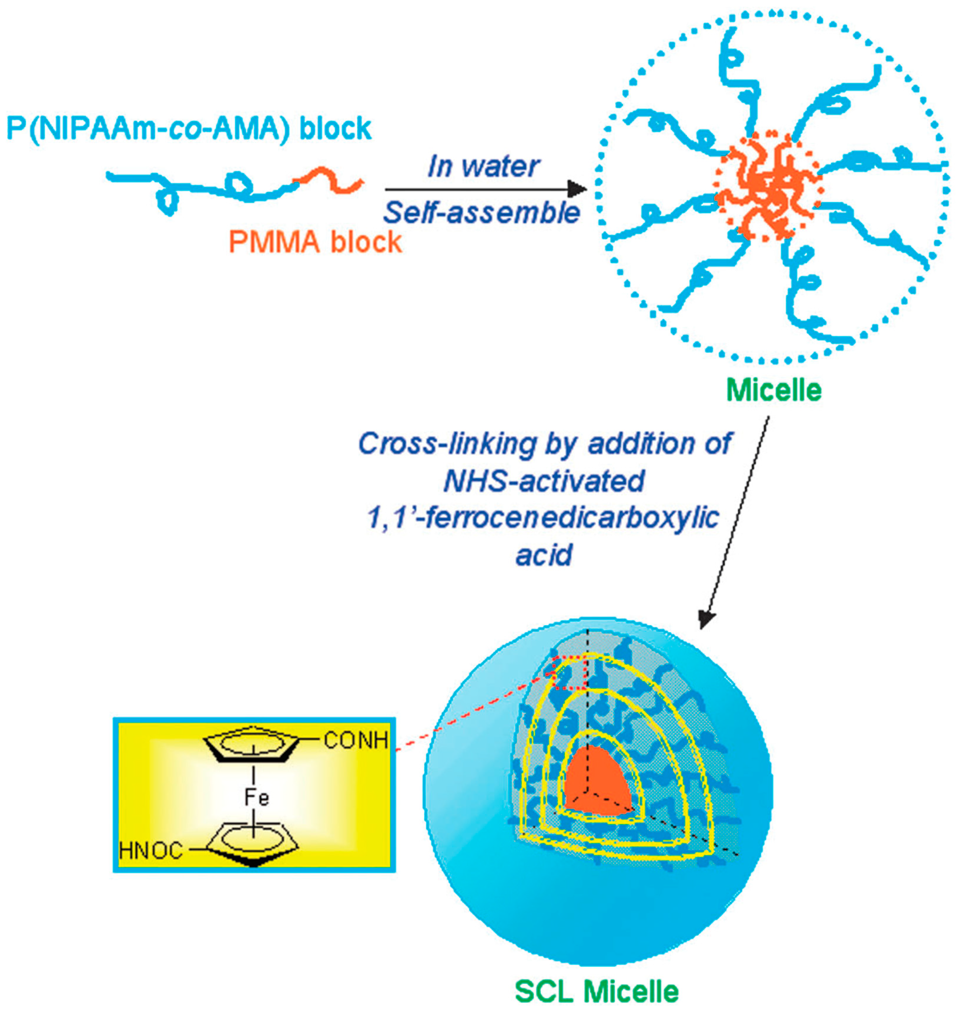 Pharmaceutics 15 02044 g021 Pharmaceutics 15 02044 g021