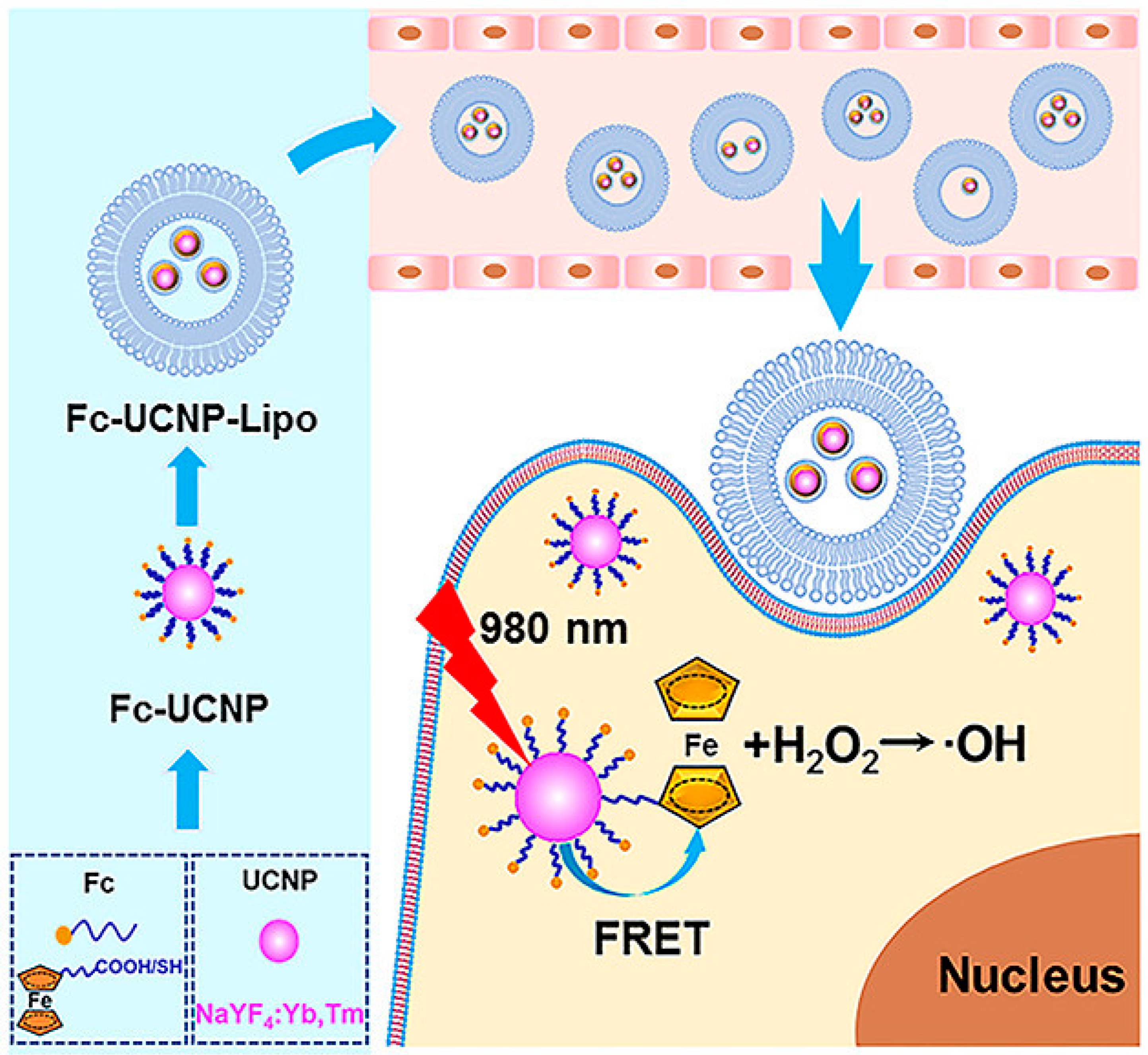 Pharmaceutics 15 02044 g023 Pharmaceutics 15 02044 g023